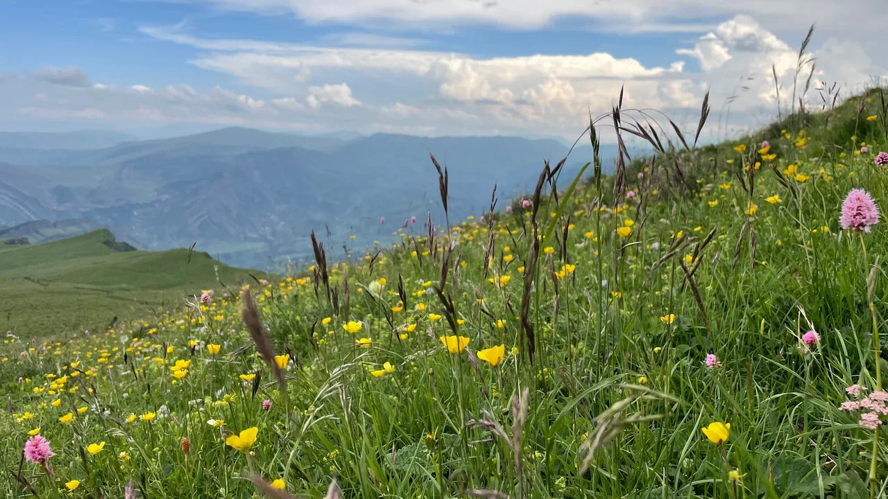Тур-перезагрузка: Йога и путешествия по Дагестану (8/14)