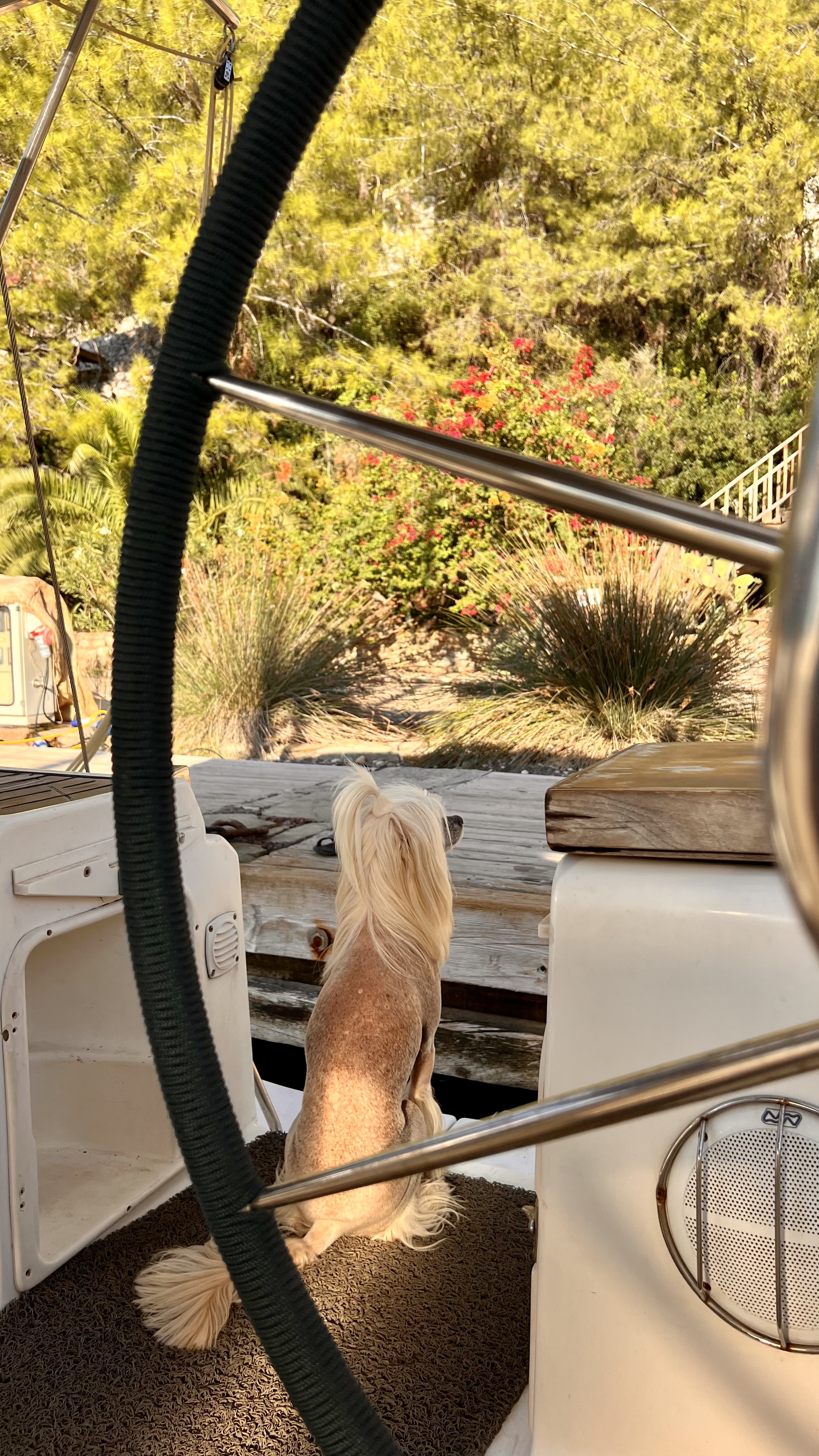 Круиз на парусной яхте по Средиземке. Турецкая Ривьера. (20/25)