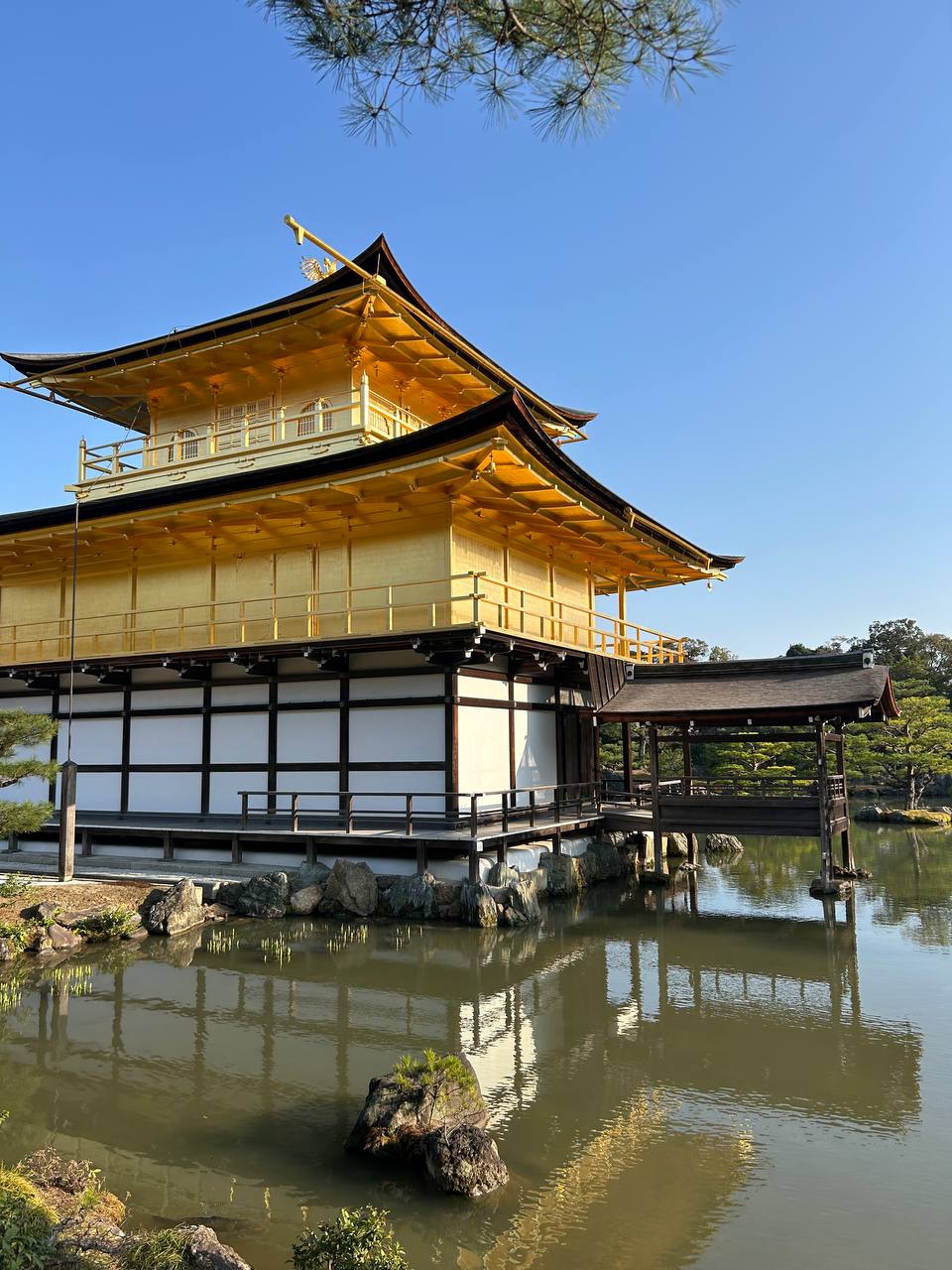 Цветущая Япония: Токио-Осака-Нара-Киото-Хиросима-Фудзи (17/56)