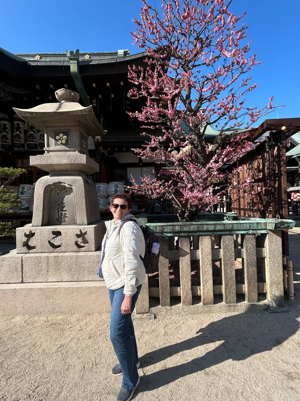 Цветущая Япония: Токио-Осака-Нара-Киото-Хиросима-Фудзи (11/56)