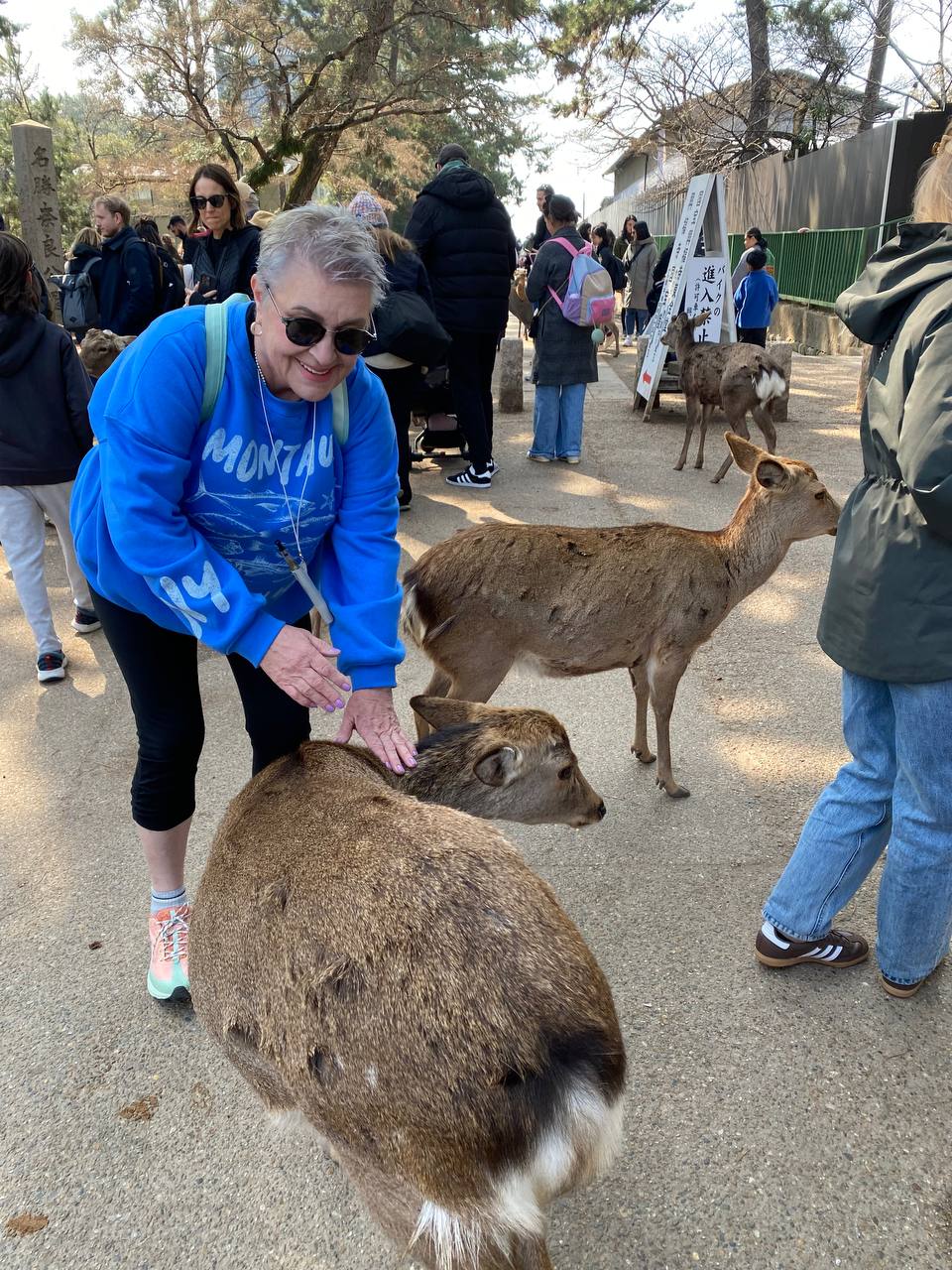 Цветущая Япония: Токио-Осака-Нара-Киото-Хиросима-Фудзи (25/56)