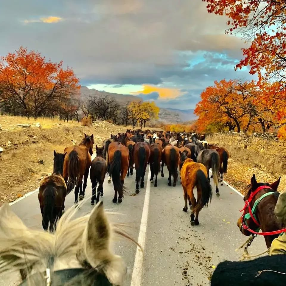 Жемчужины Дагестана за 3 дня. Индивидуальный тур (26/33)