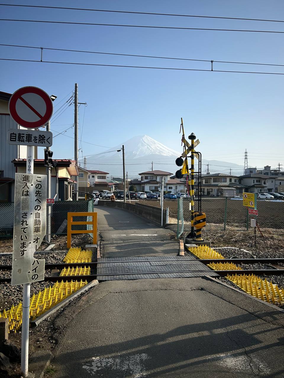 Цветущая Япония: Токио-Осака-Нара-Киото-Хиросима-Фудзи (19/56)