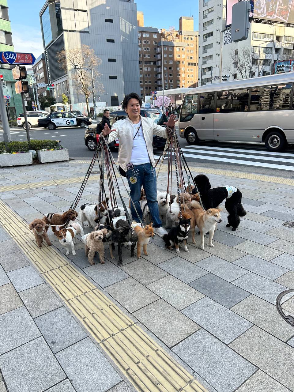 Цветущая Япония: Токио-Осака-Нара-Киото-Хиросима-Фудзи (6/56)