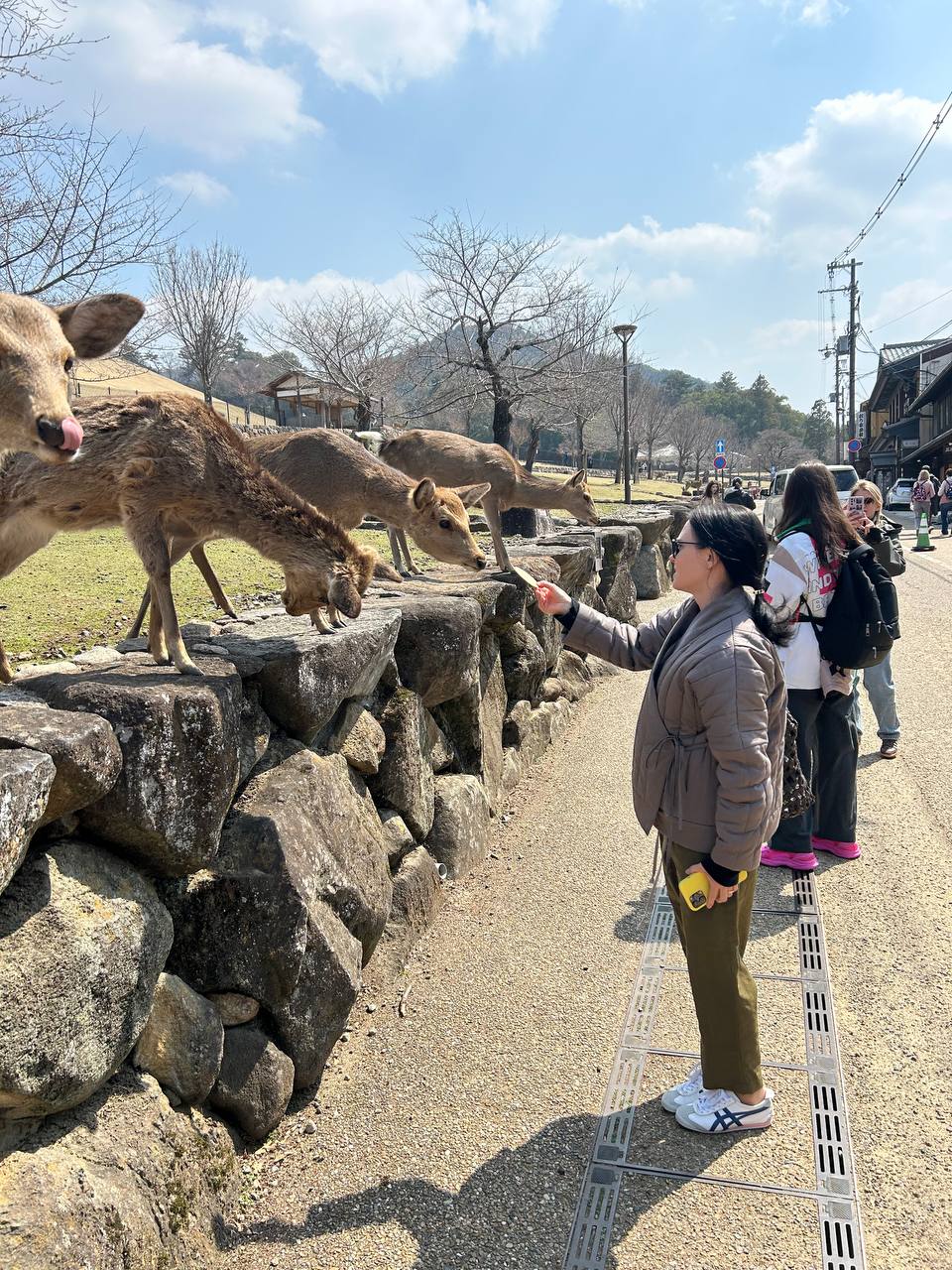 Цветущая Япония: Токио-Осака-Нара-Киото-Хиросима-Фудзи (14/56)