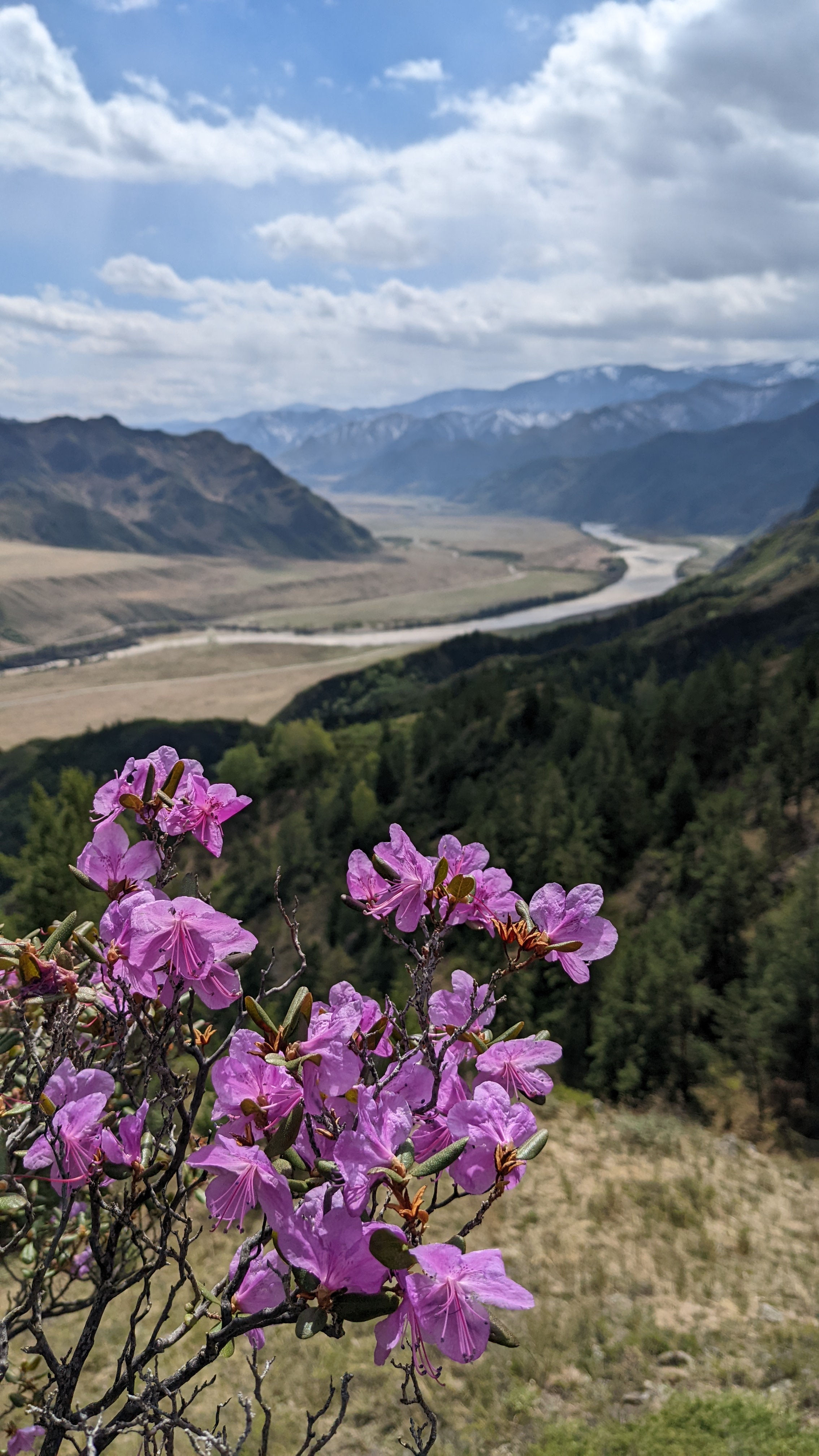 Йога-тур на Алтай: Знакомство с собой