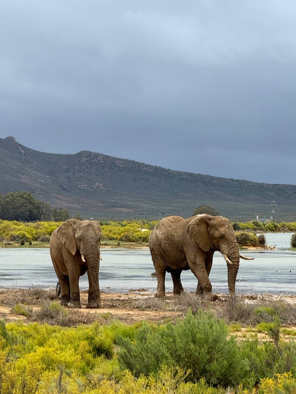 Юар путешествие на край Земли. Киты, океан, пингвины, край света (16/55)