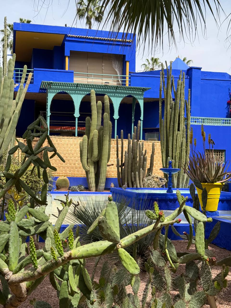 Королевство Марокко и манящая Сахара (2/11)