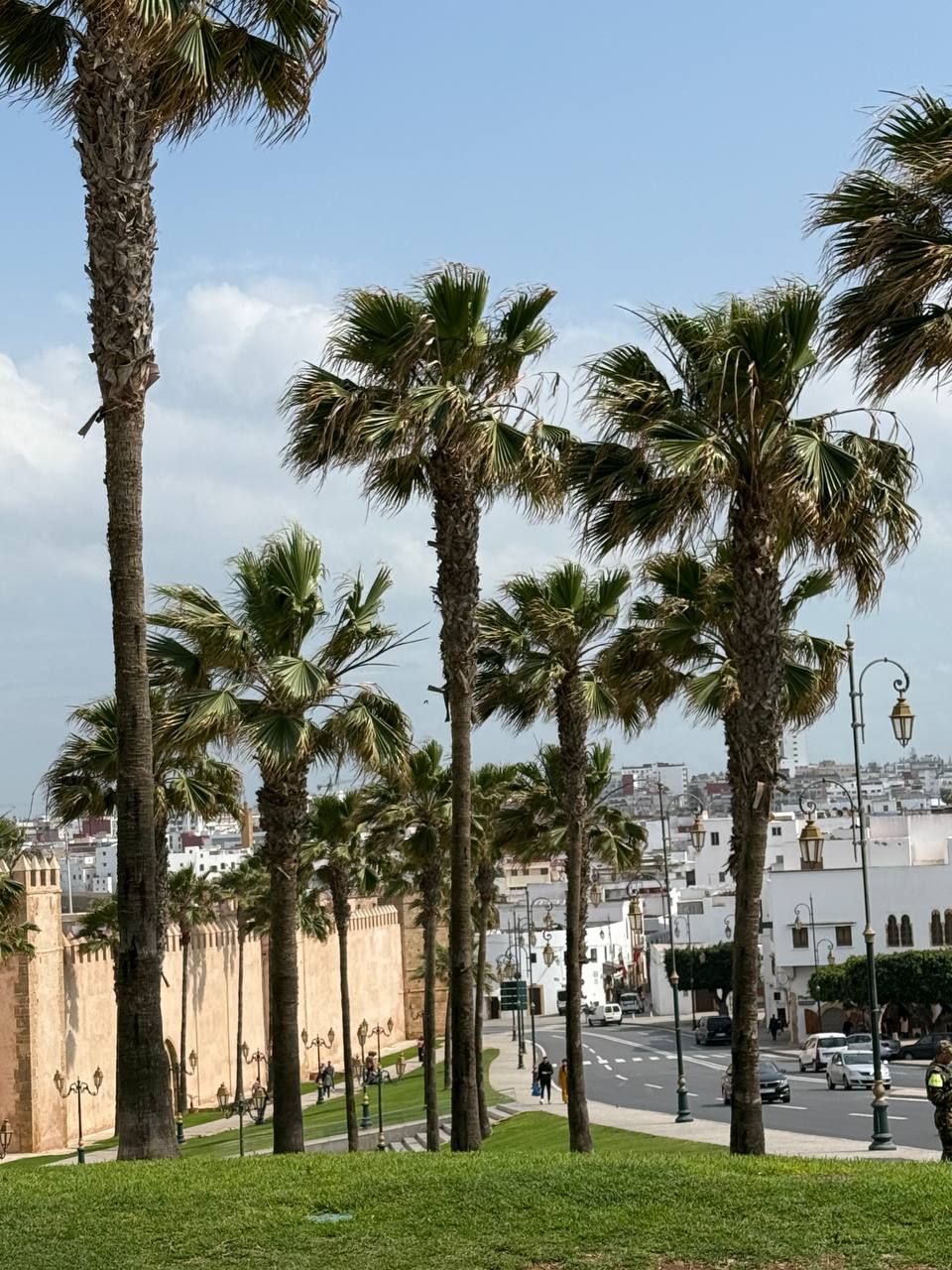 Королевство Марокко и манящая Сахара (6/11)