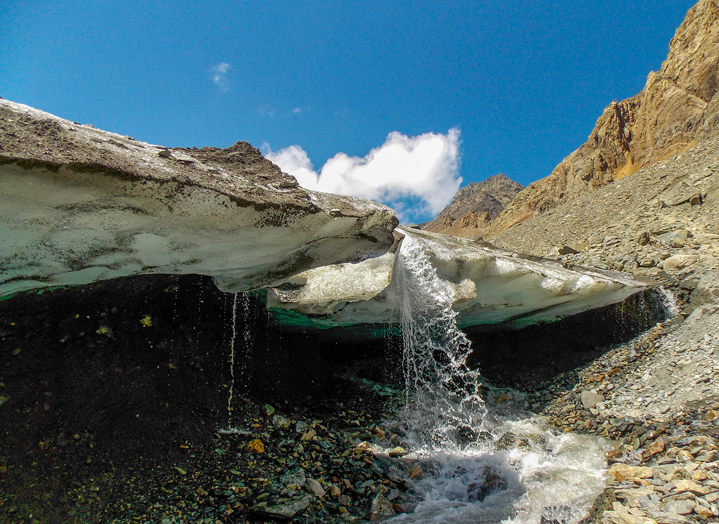 Золотое кольцо Алтая+ Актру. Индивидуальный Вип-тур. (44/121)