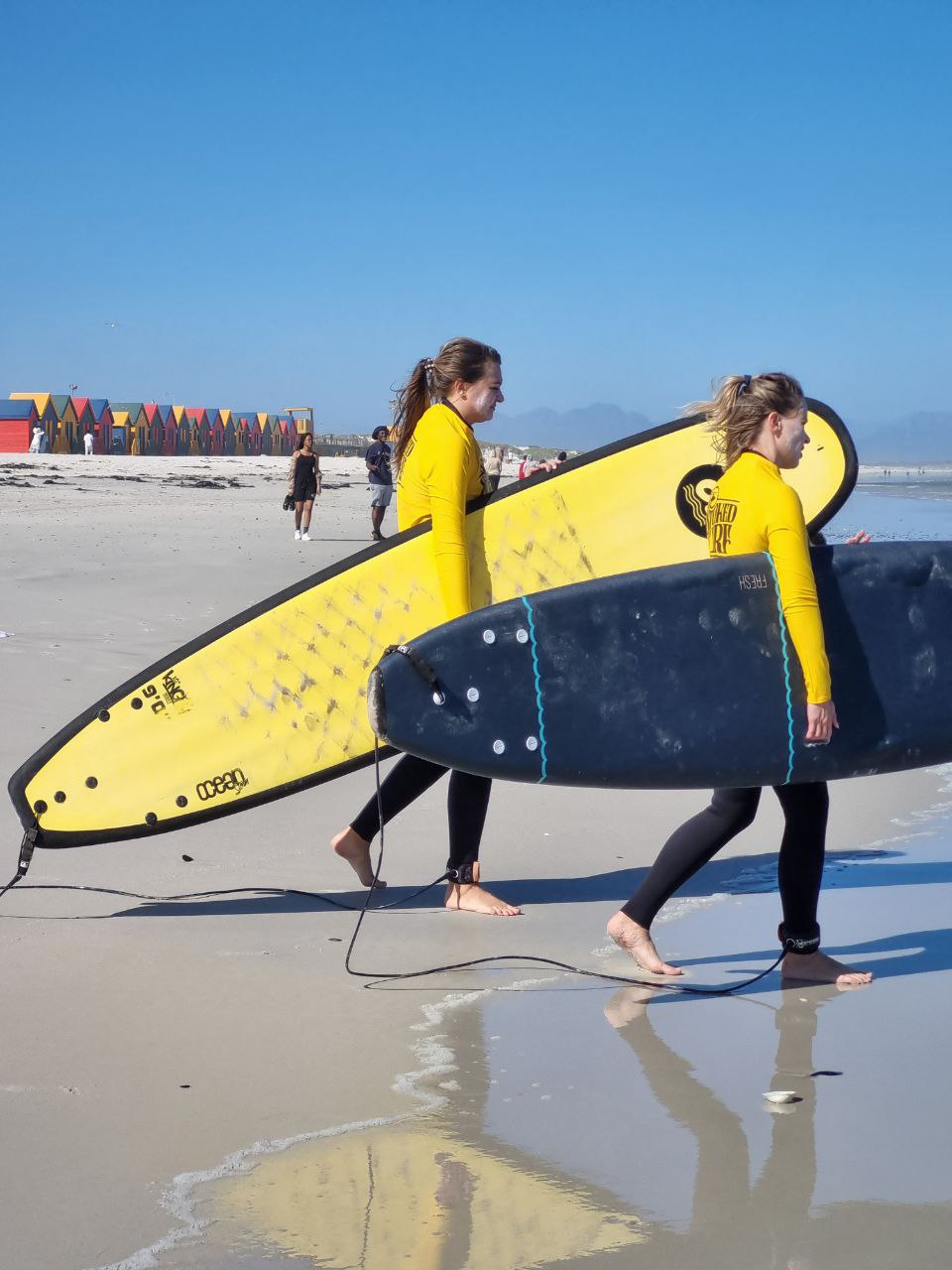 Юар путешествие на край Земли. Киты, океан, пингвины, край света (14/55)