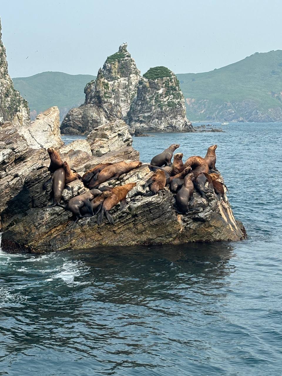 Авторский тур на парусных яхтах по Японскому морю (12/34)