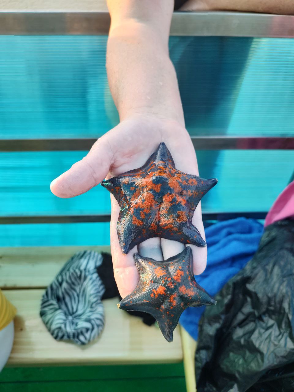 Авторский тур на парусных яхтах по Японскому морю (9/34)