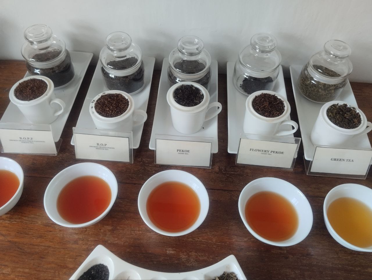 Шри-Ланка - открываем скрытые сокровища острова (3/77)