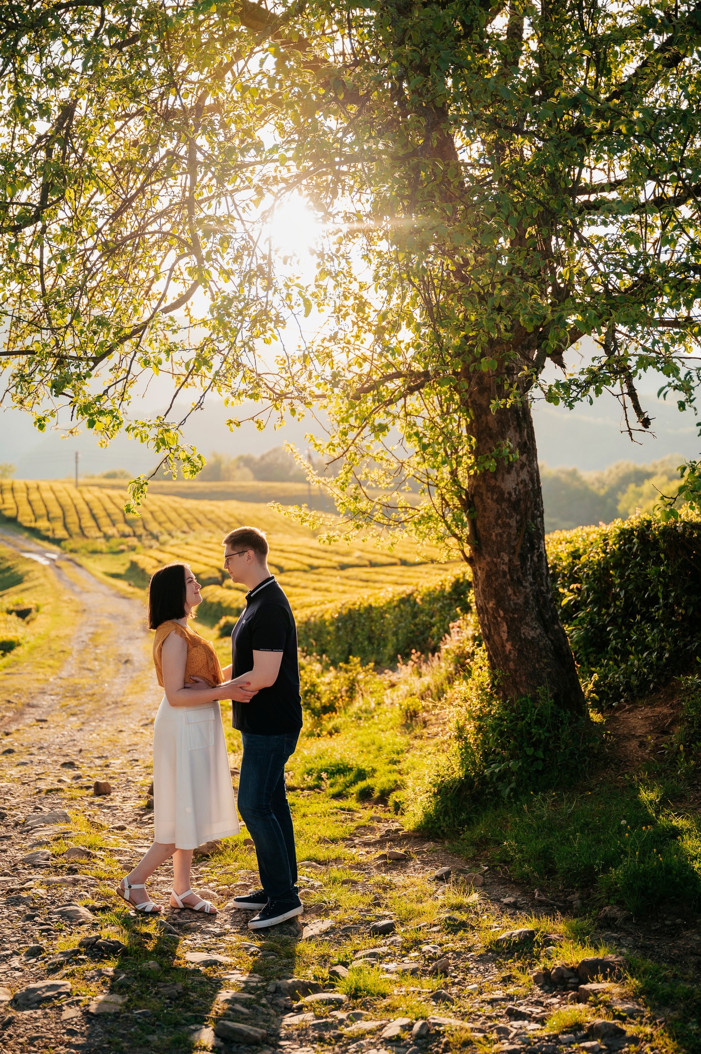 Фототур на чайную плантацию (цена за 1-4 чел.)