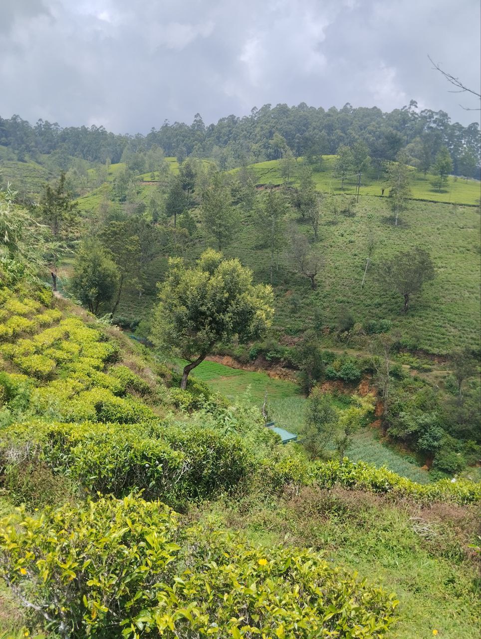 Шри-Ланка - открываем скрытые сокровища острова (4/77)