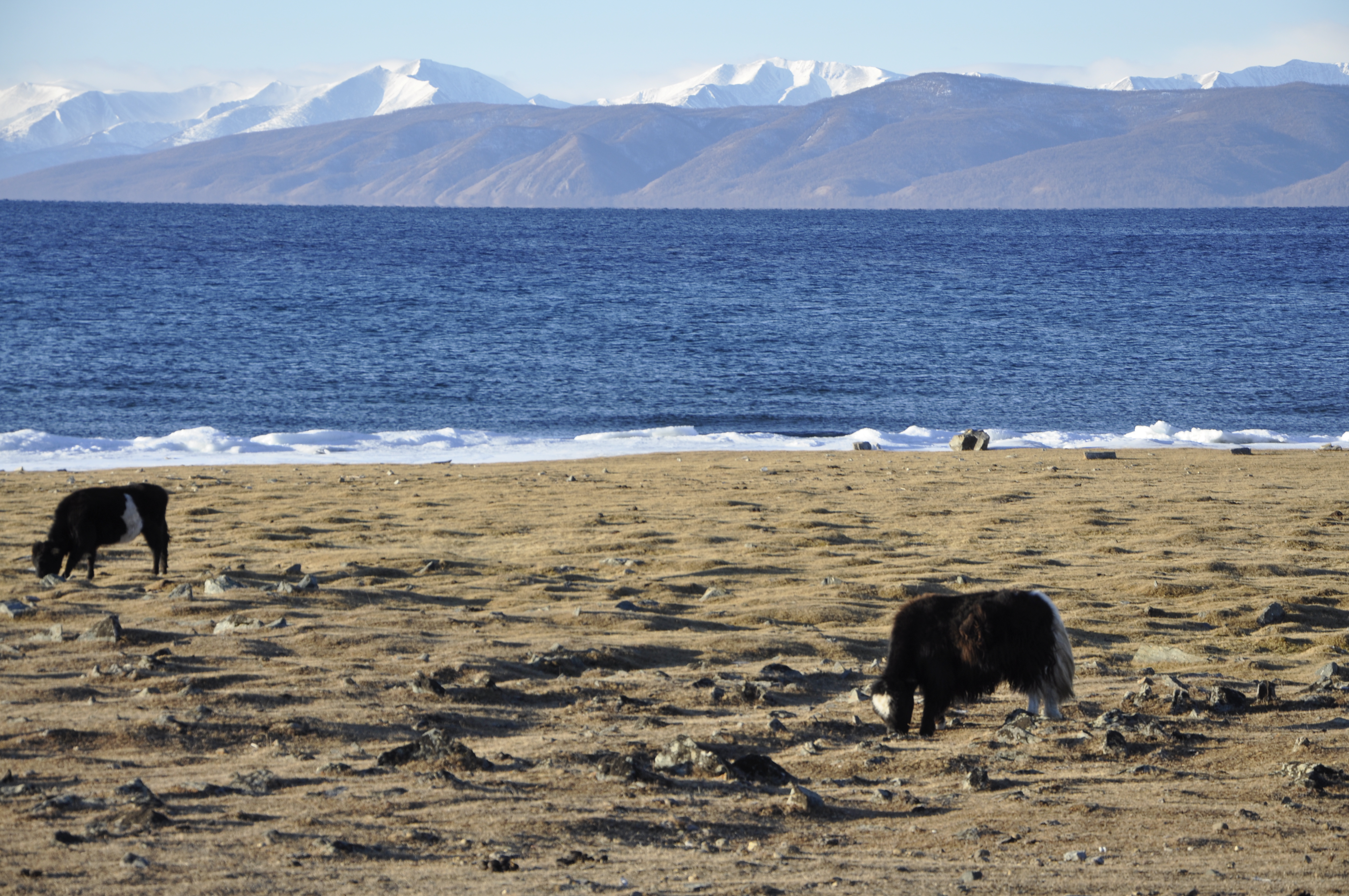 В Монголию к озеру Хубсугул (10/68)