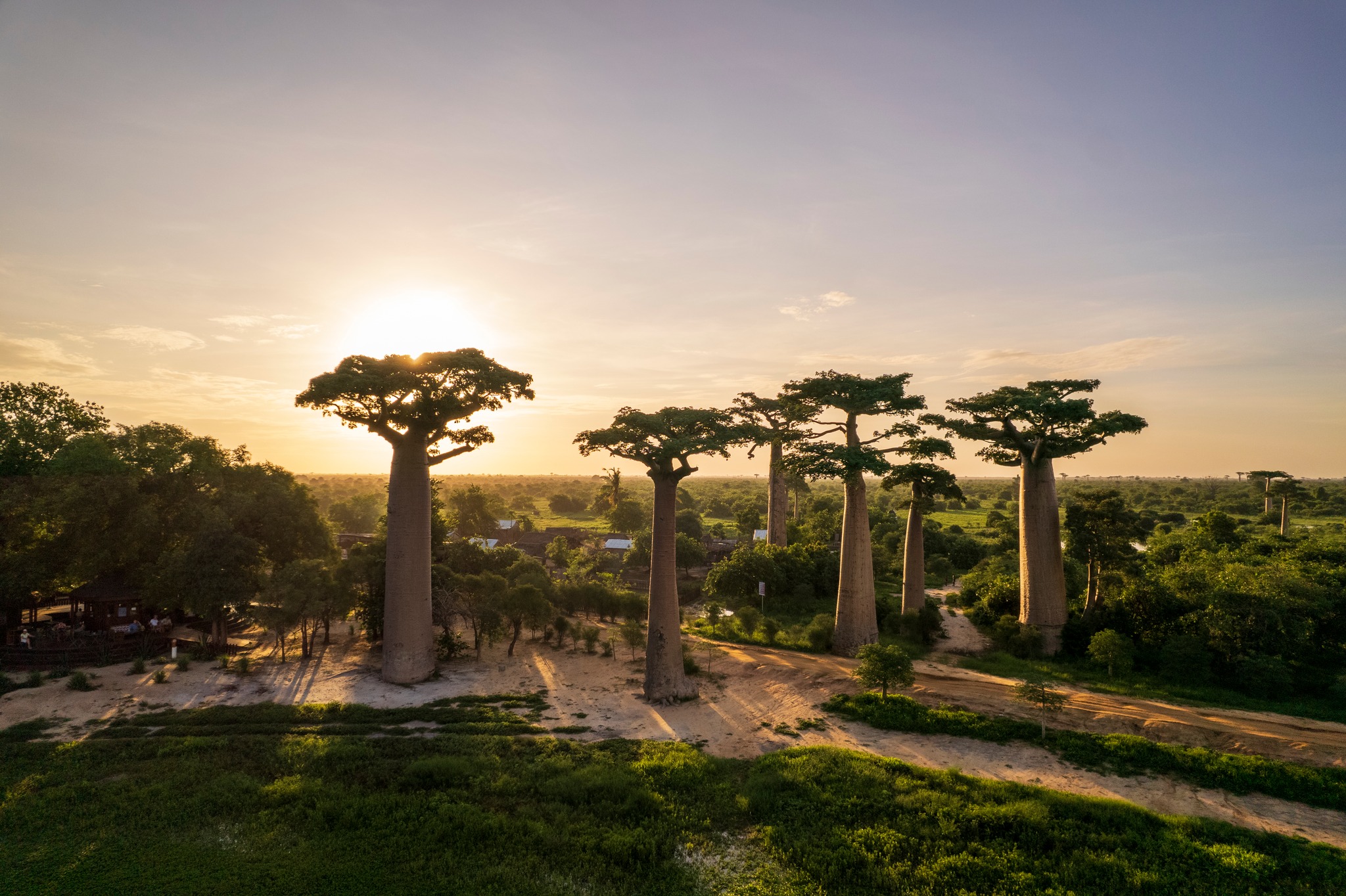 В Краю Баобабов (7/34)