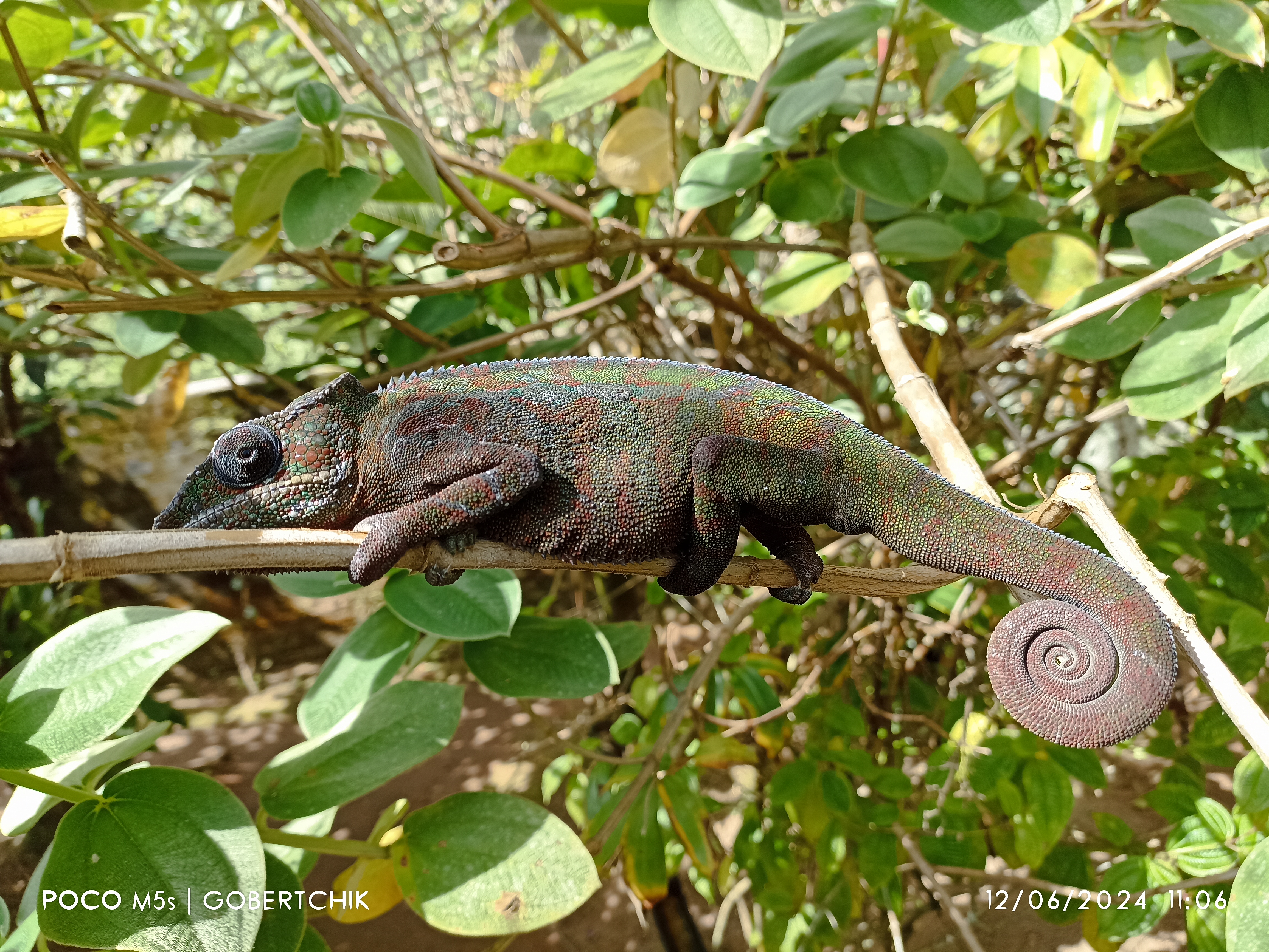 В Краю Баобабов (5/34)