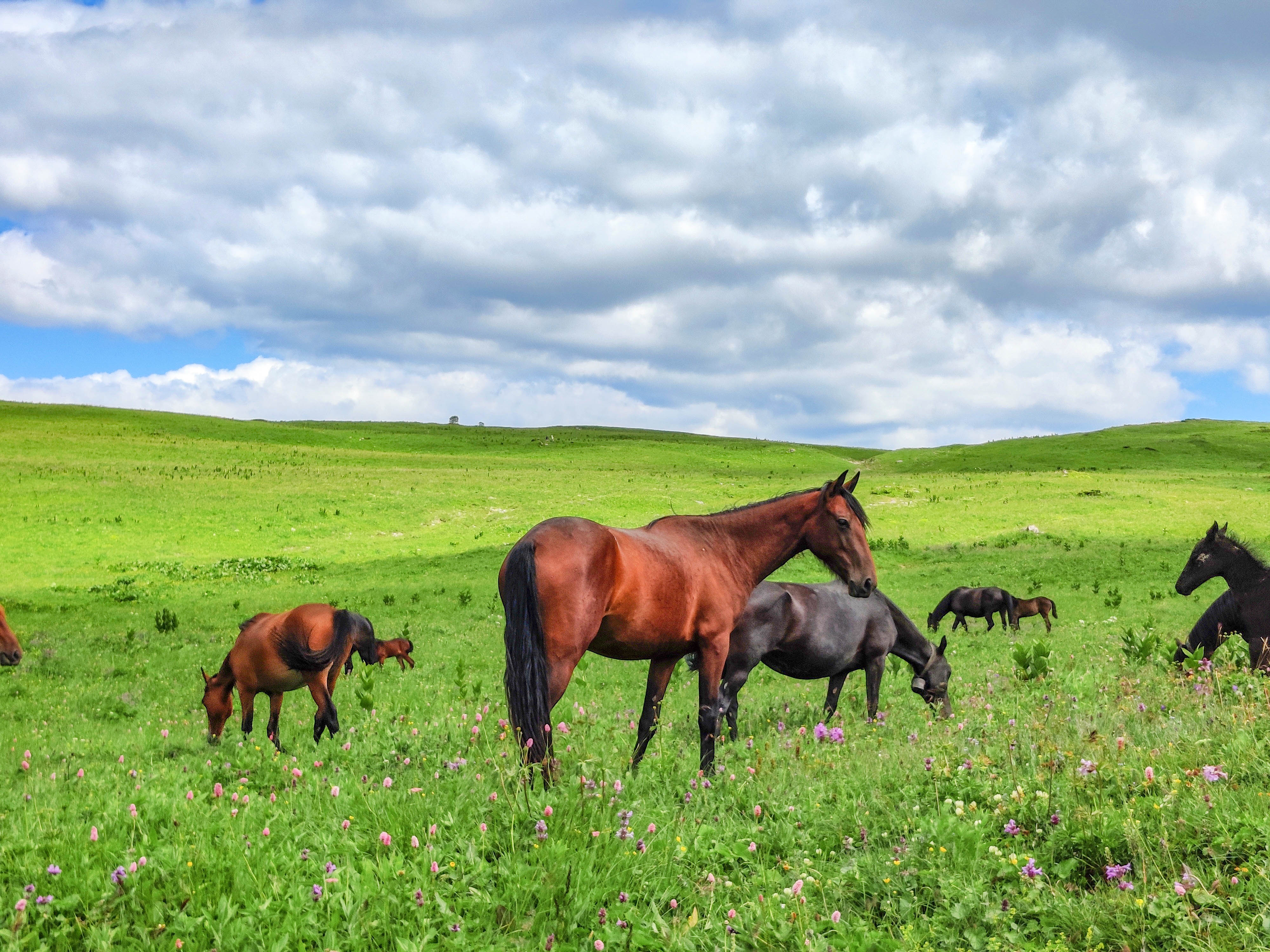 30 маршрут Через горы к морю - Пеший поход по Тридцатке (14/66)