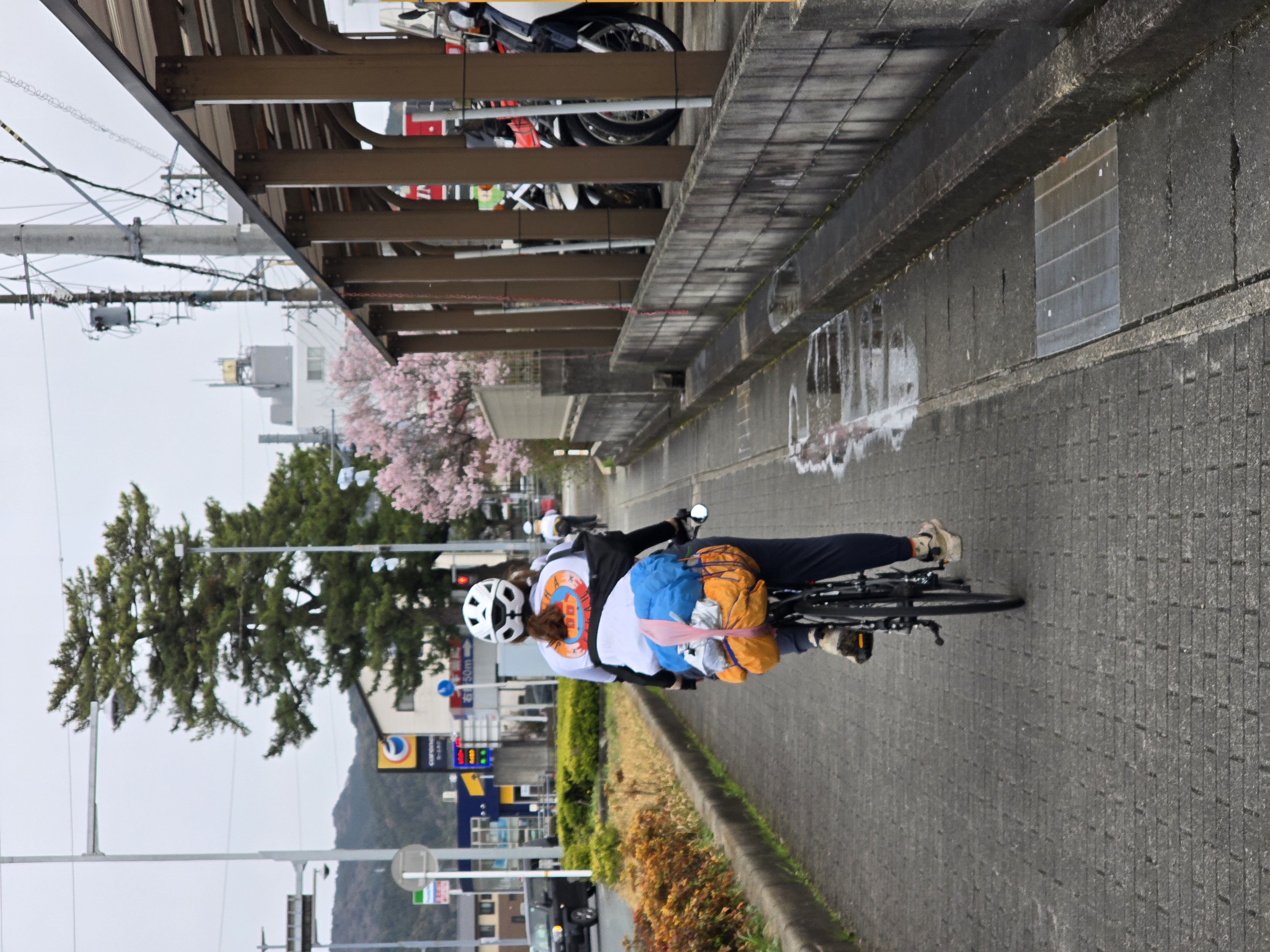 Велосипедная Япония (11/36)