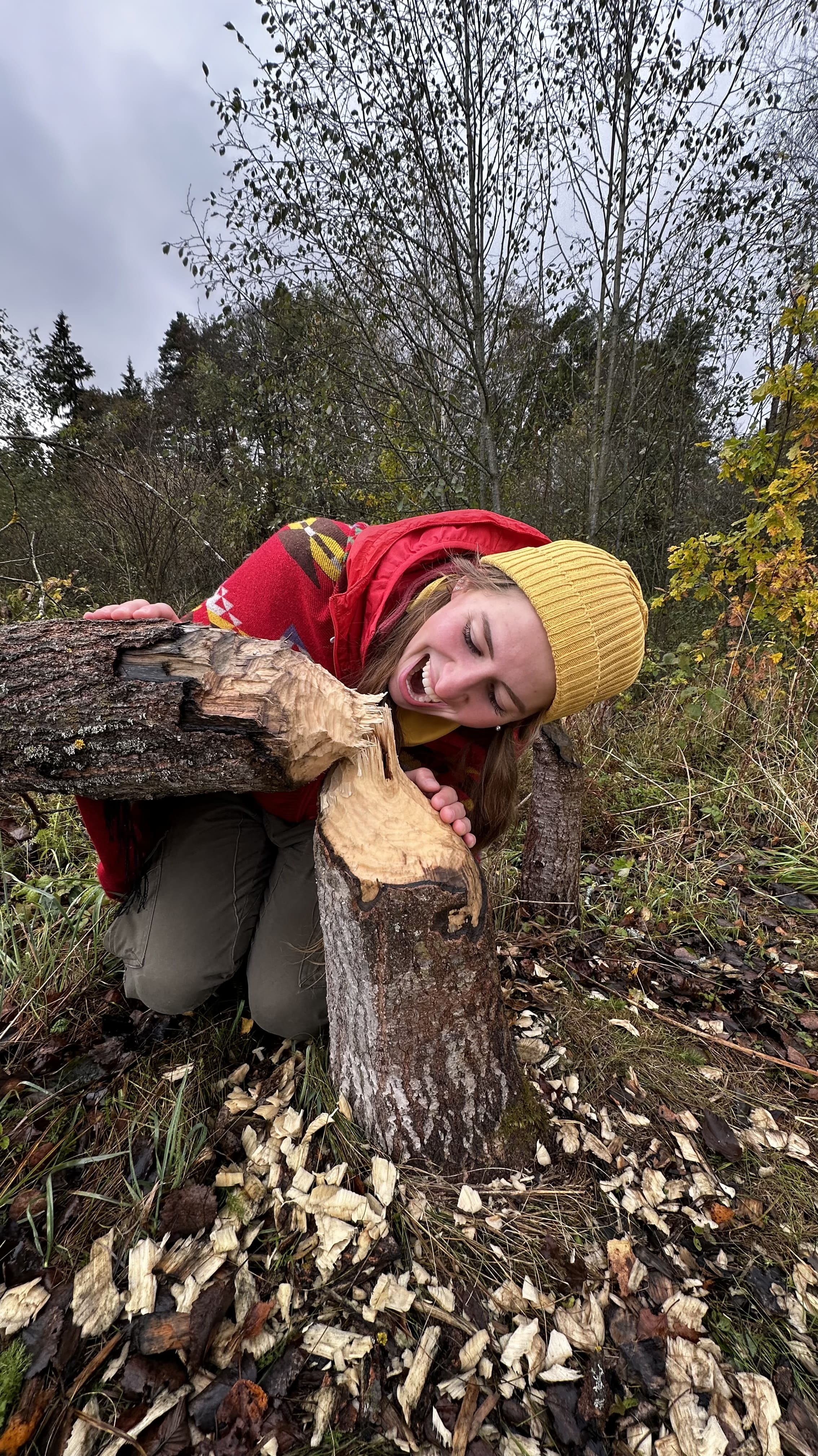 Заказник Цна и Змеиный камень с палатками, Московская область (4/29)