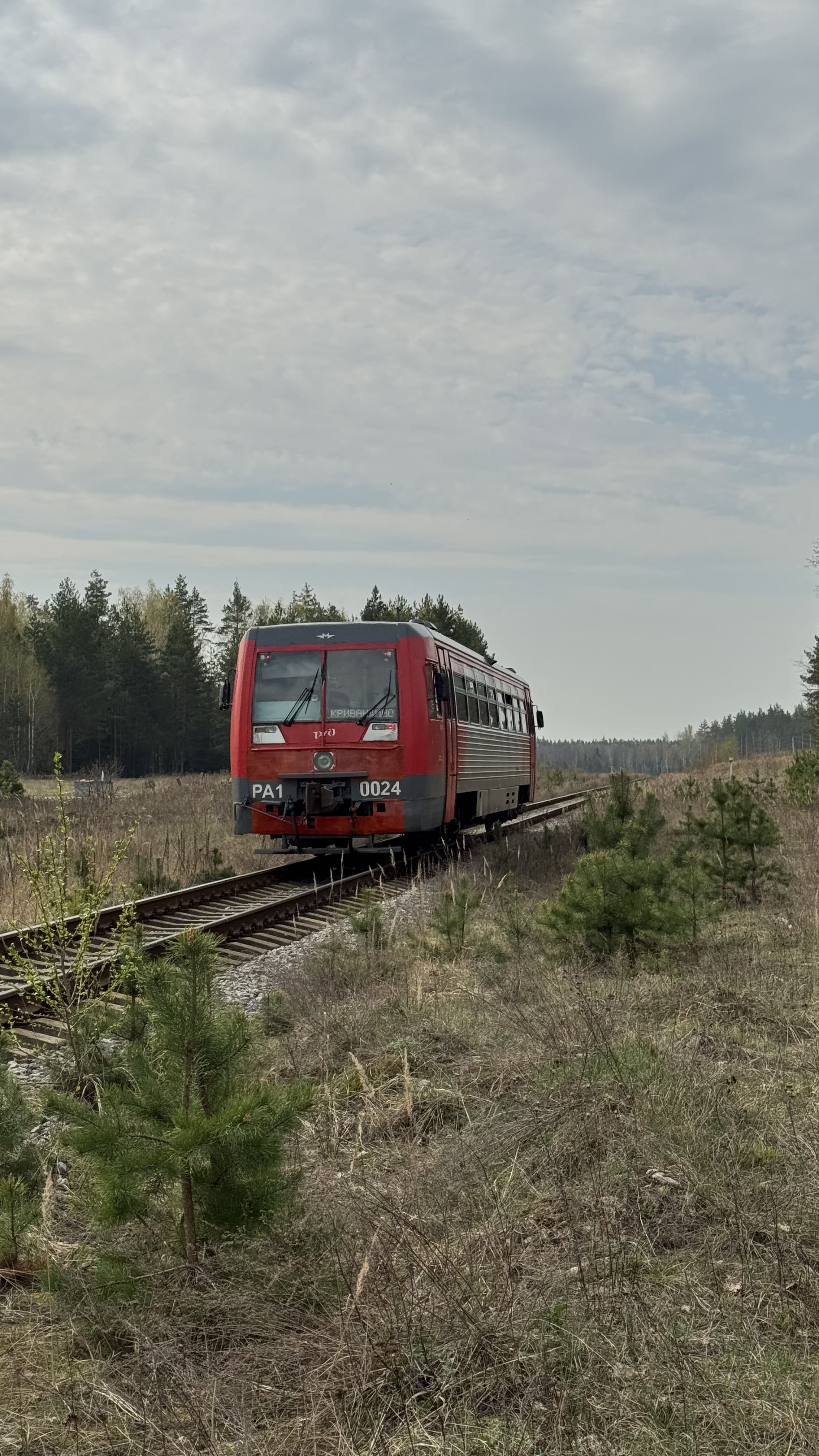 Заказник Цна и Змеиный камень с палатками, Московская область (6/29)