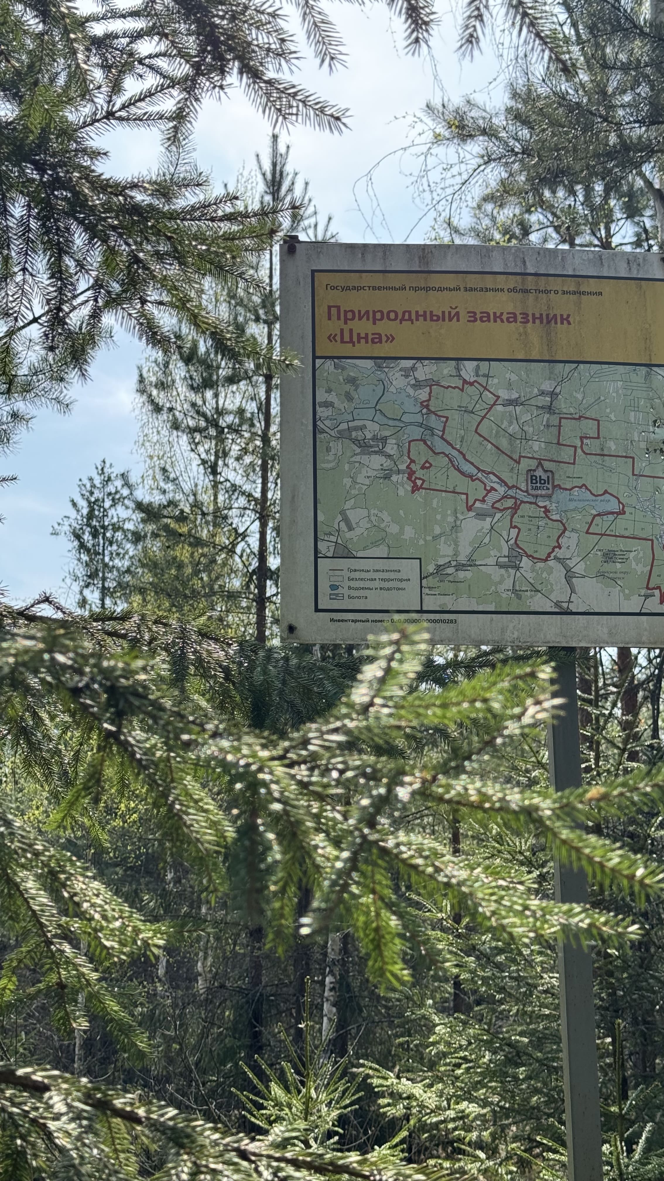 Заказник Цна и Змеиный камень с палатками, Московская область (15/29)