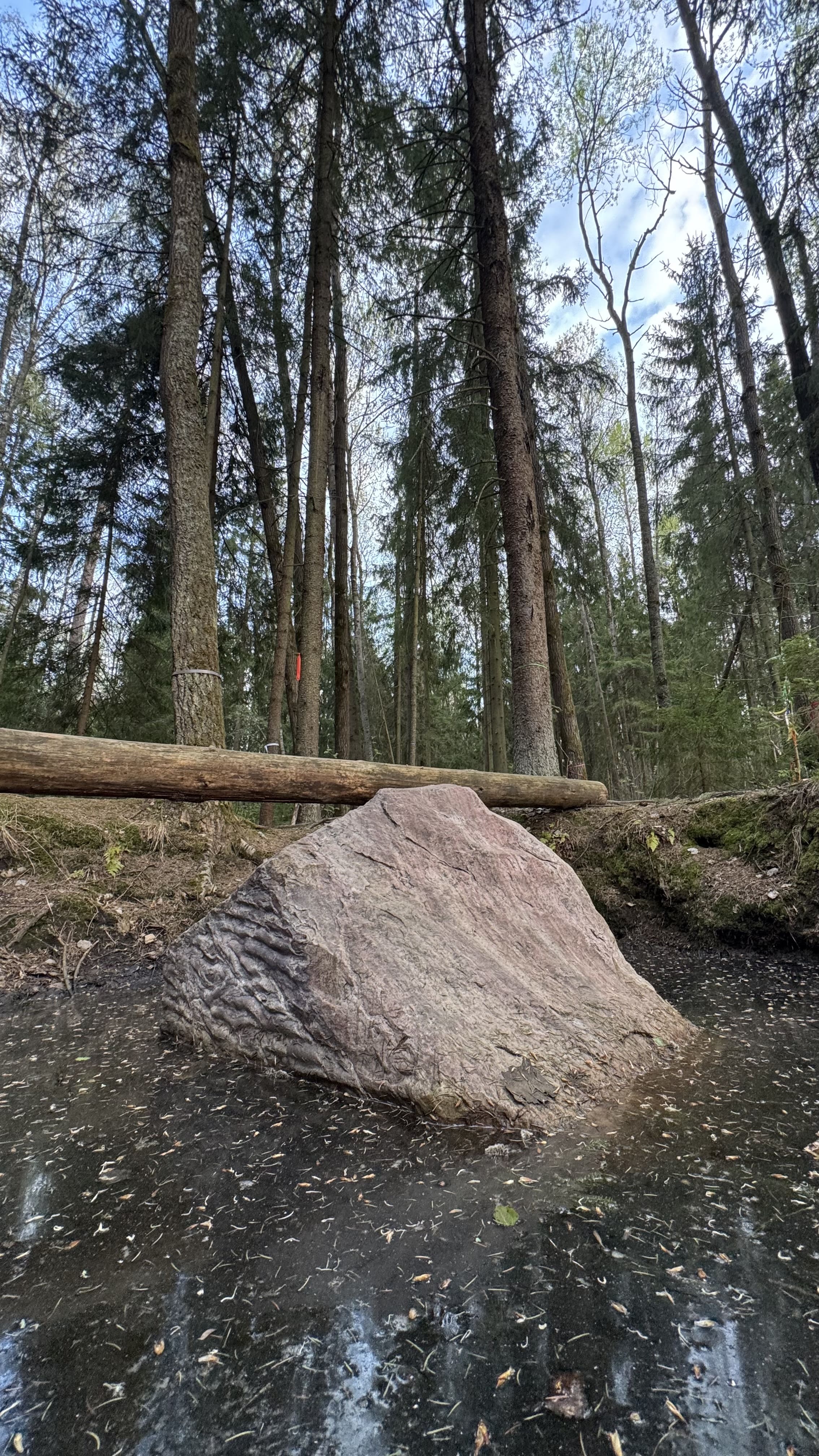 Заказник Цна и Змеиный камень с палатками, Московская область (18/29)
