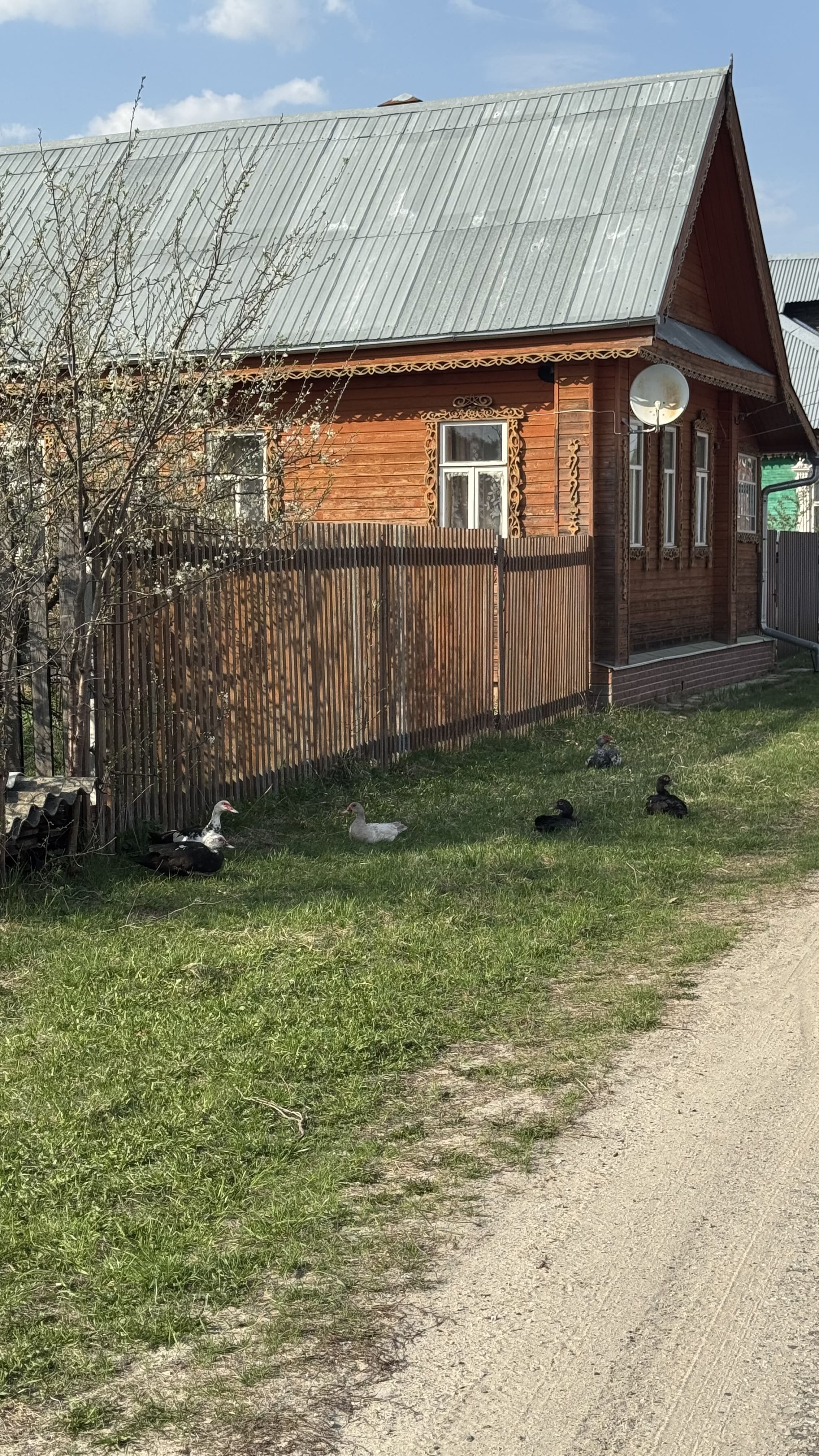 Заказник Цна и Змеиный камень с палатками, Московская область (9/29)