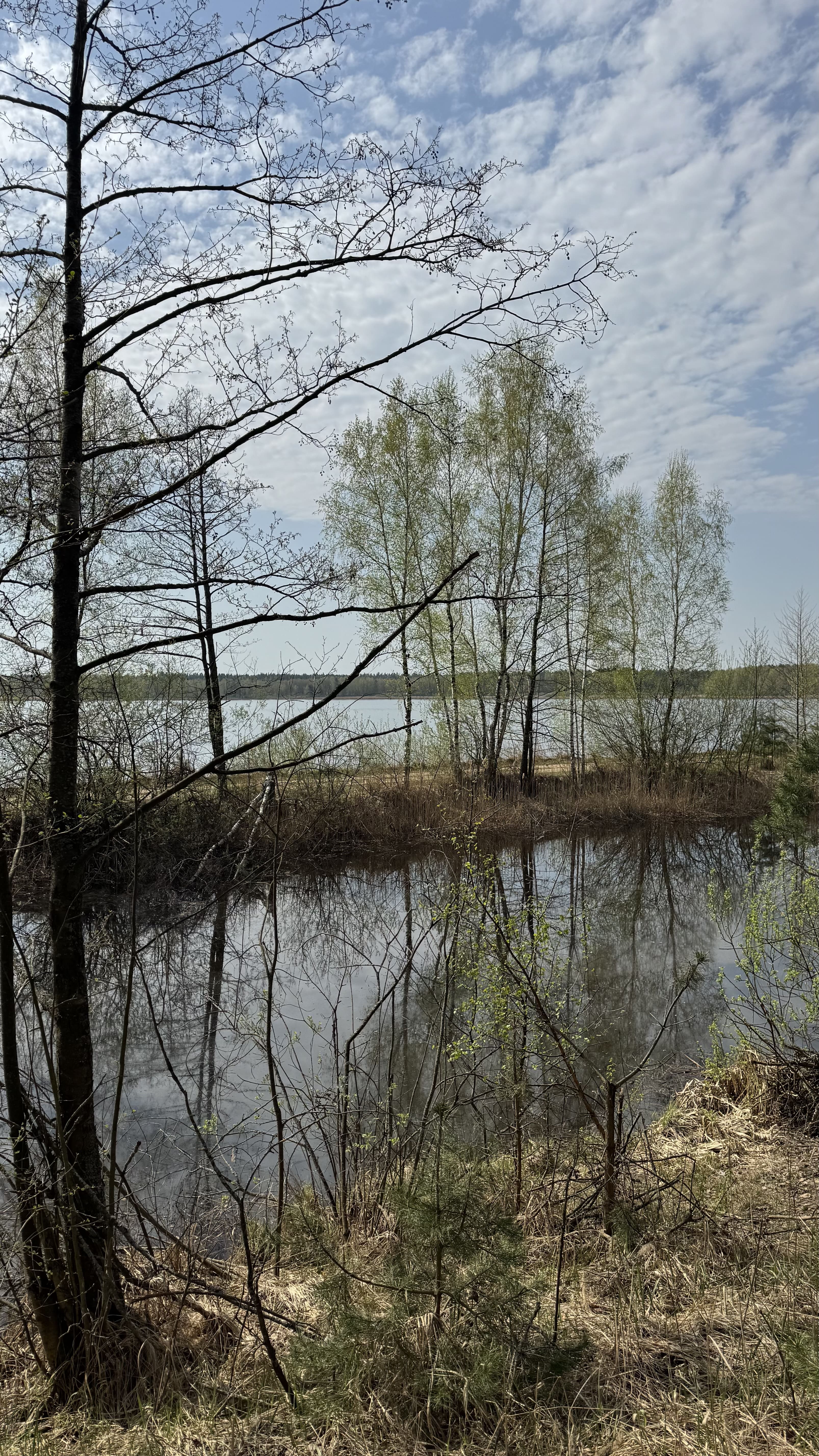 Заказник Цна и Змеиный камень с палатками, Московская область (19/29)