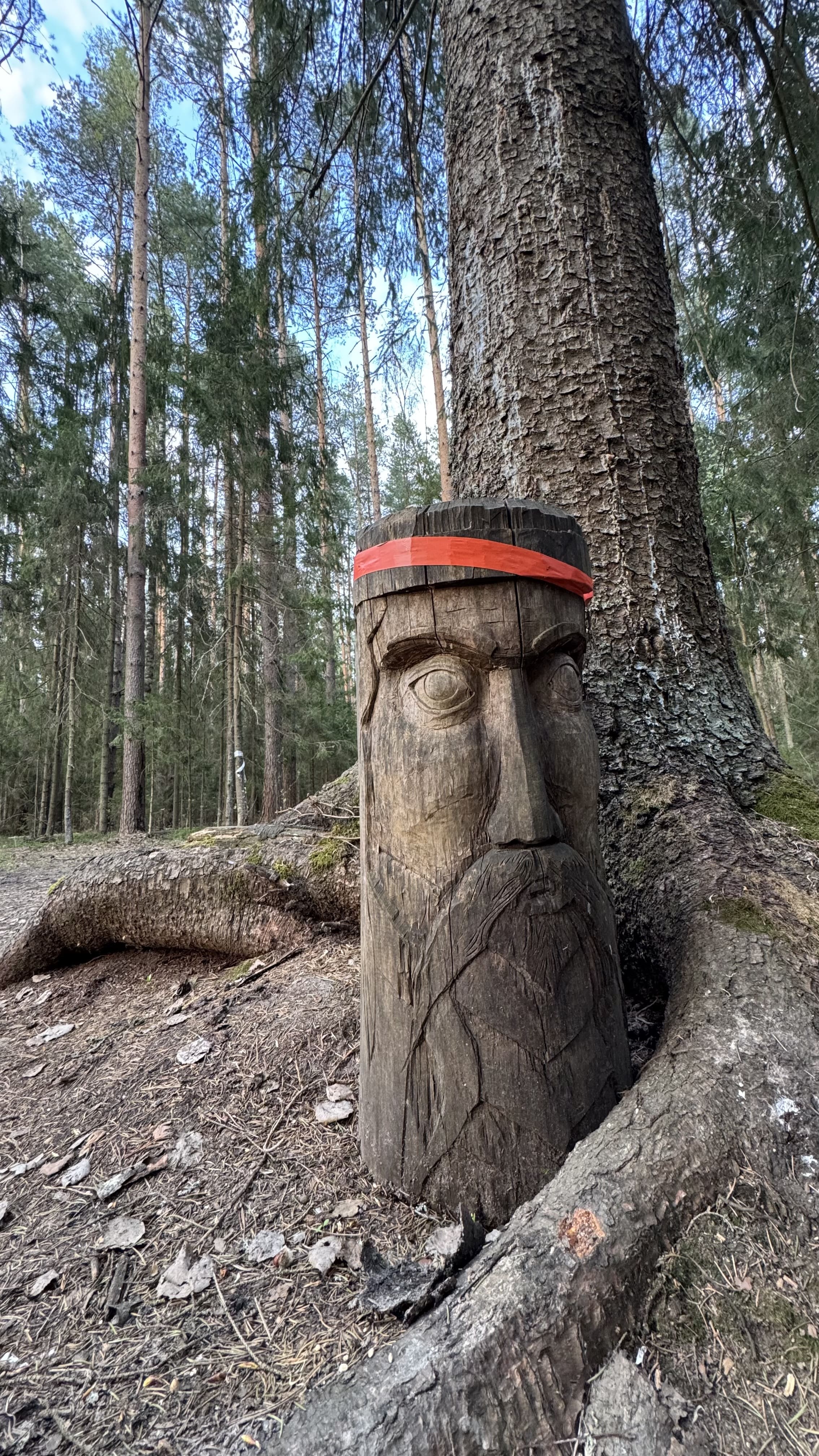 Заказник Цна и Змеиный камень с палатками, Московская область (5/29)