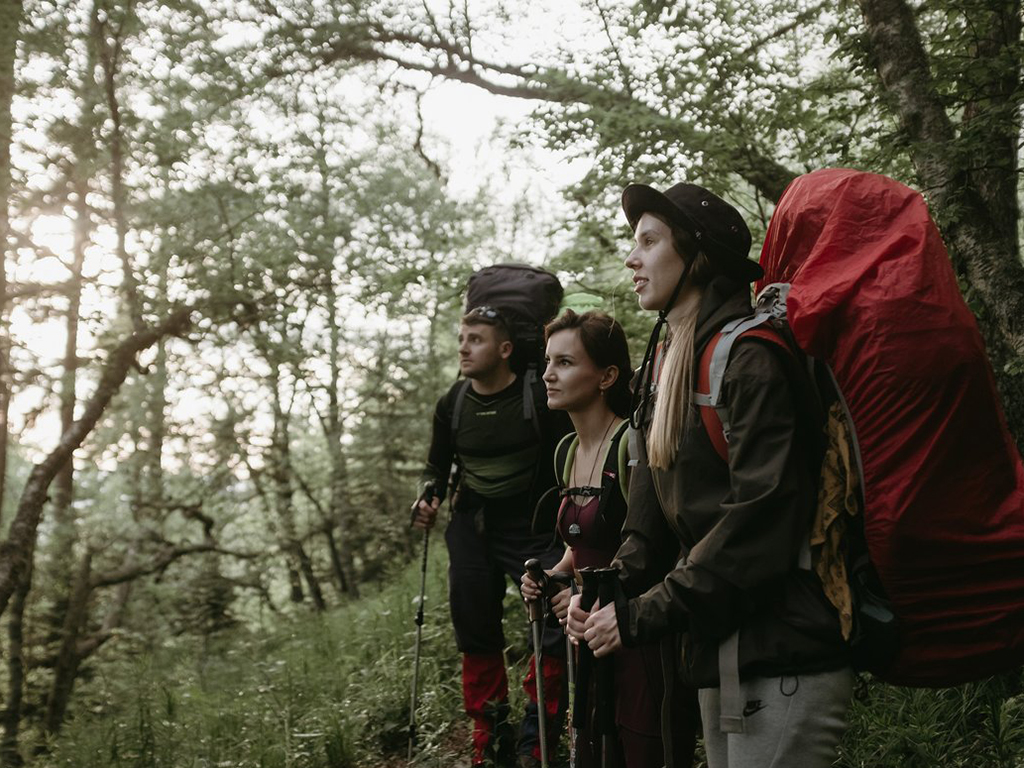 Кавказ. Поход в природный парк Большой Тхач на цветение рододендронов (6/16)