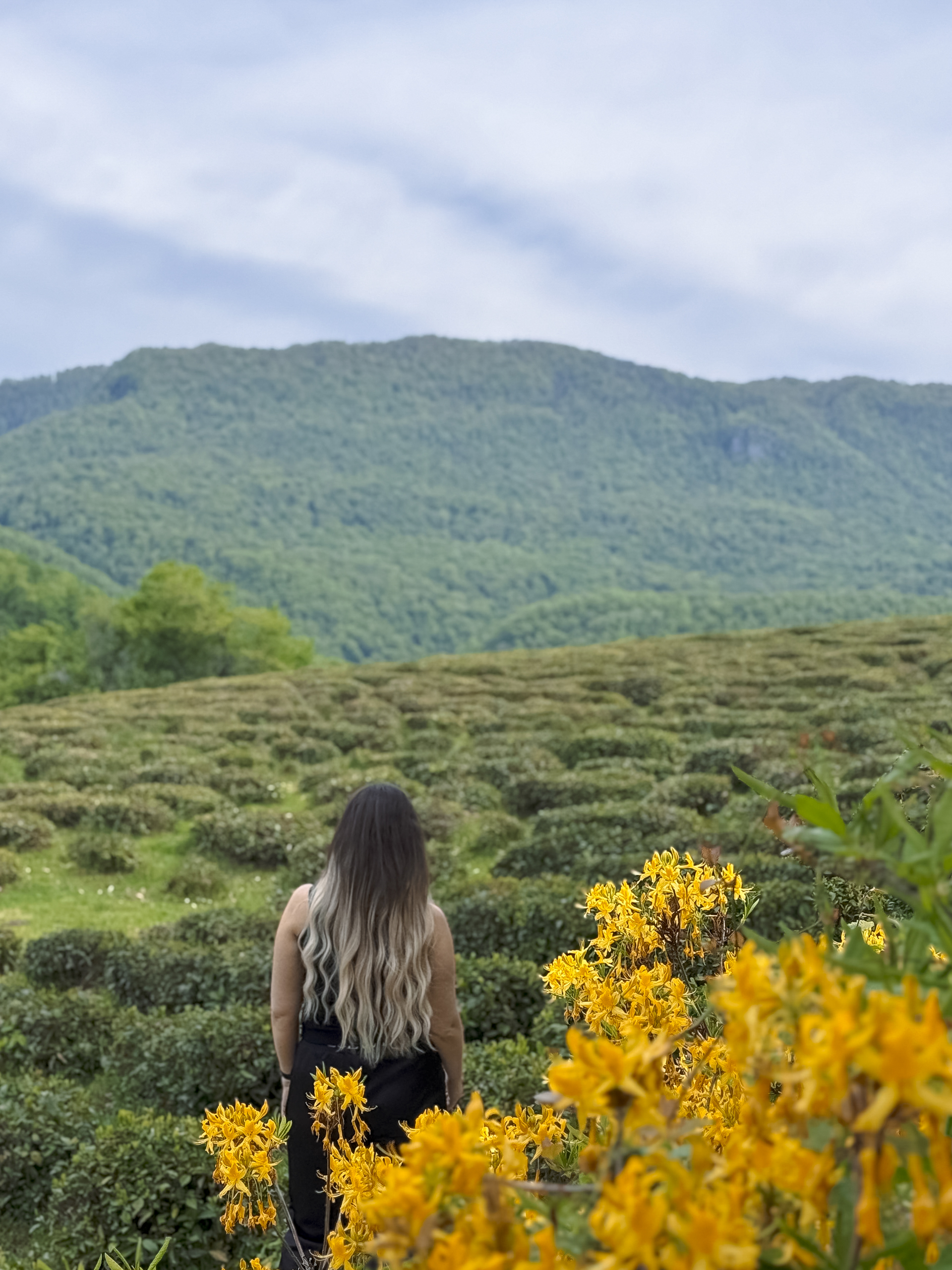 Пещера, чай и каньон с фотосетом на камерофон Vivo X200 (цена за 1-4 чел.) (2/9)