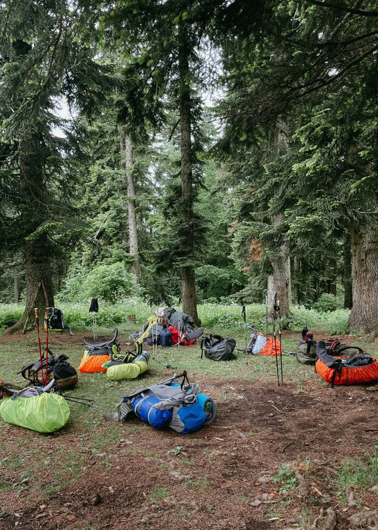 Кавказ. Поход в природный парк Большой Тхач на цветение рододендронов (14/16)