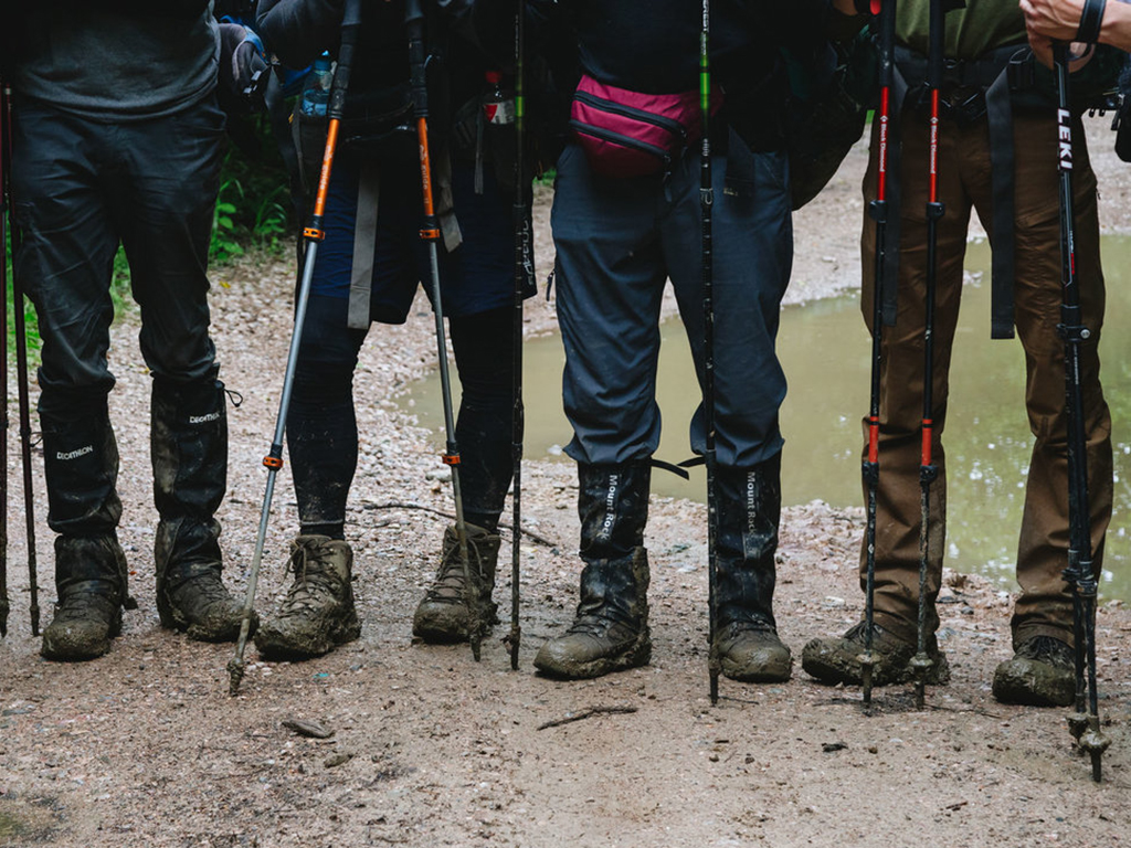 Кавказ. Поход в природный парк Большой Тхач на цветение рододендронов (11/16)