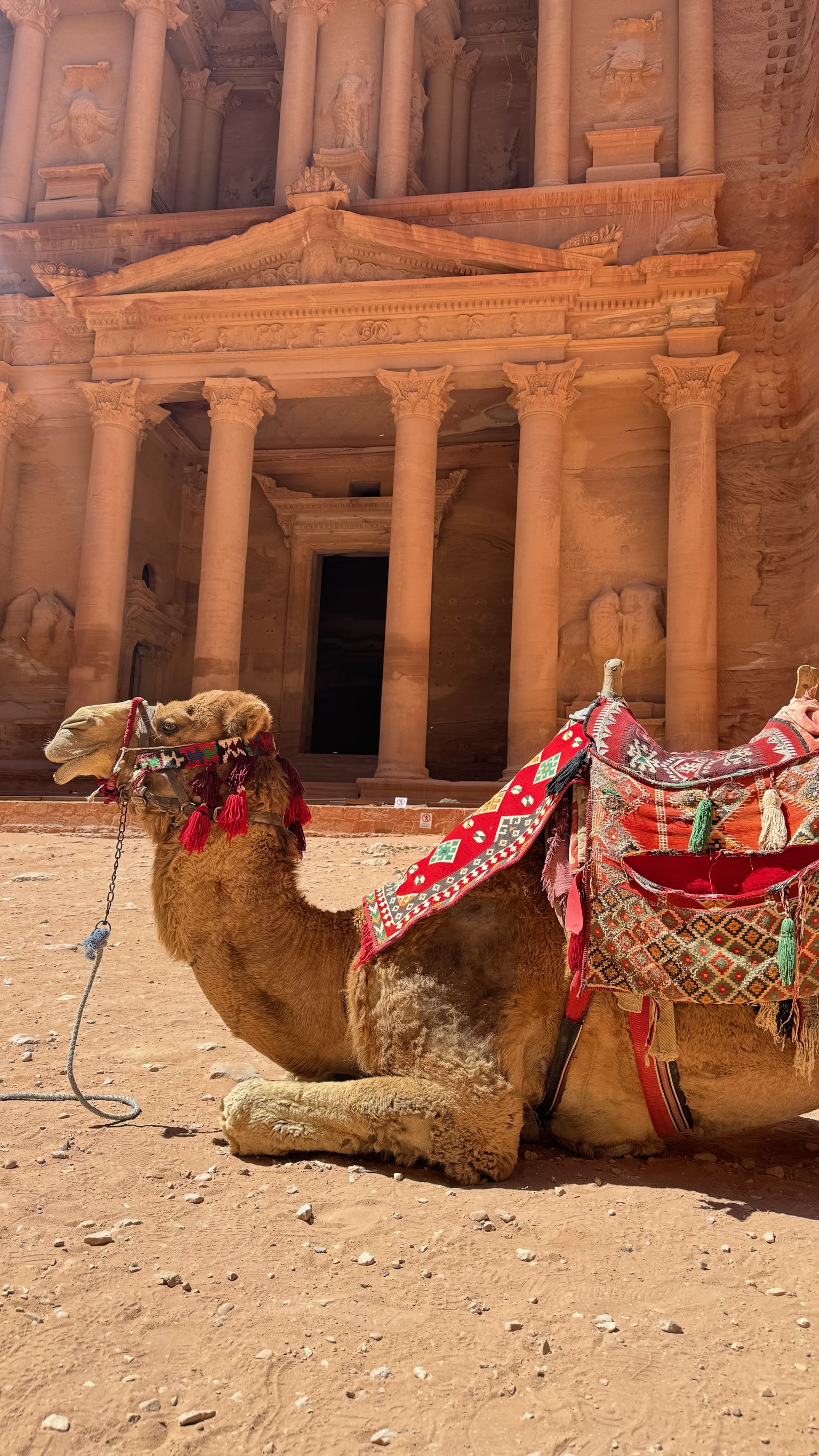 Иордания на максималках. Полное погружение за 7 дней