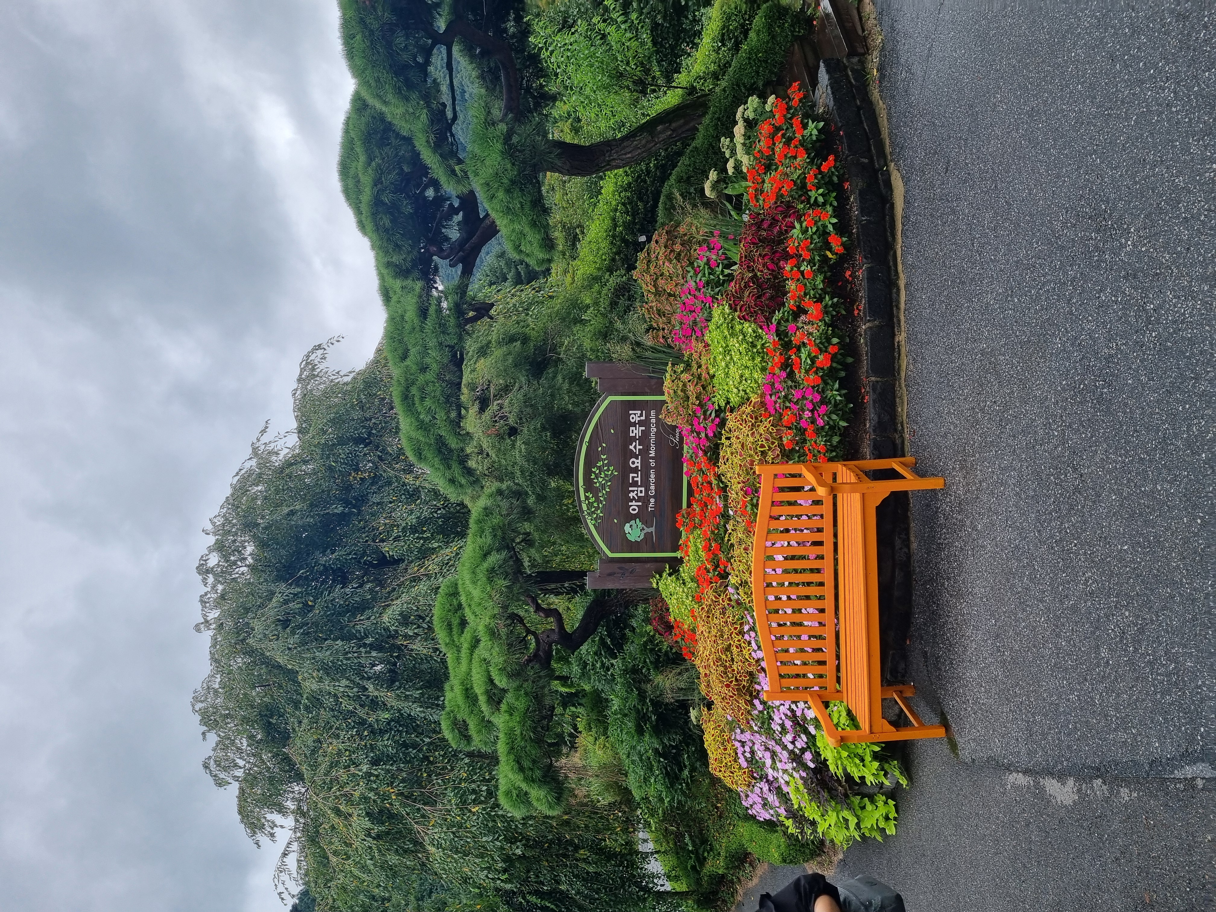 Осеннее путешествие Императора. Красные клены Сеула (6/14)