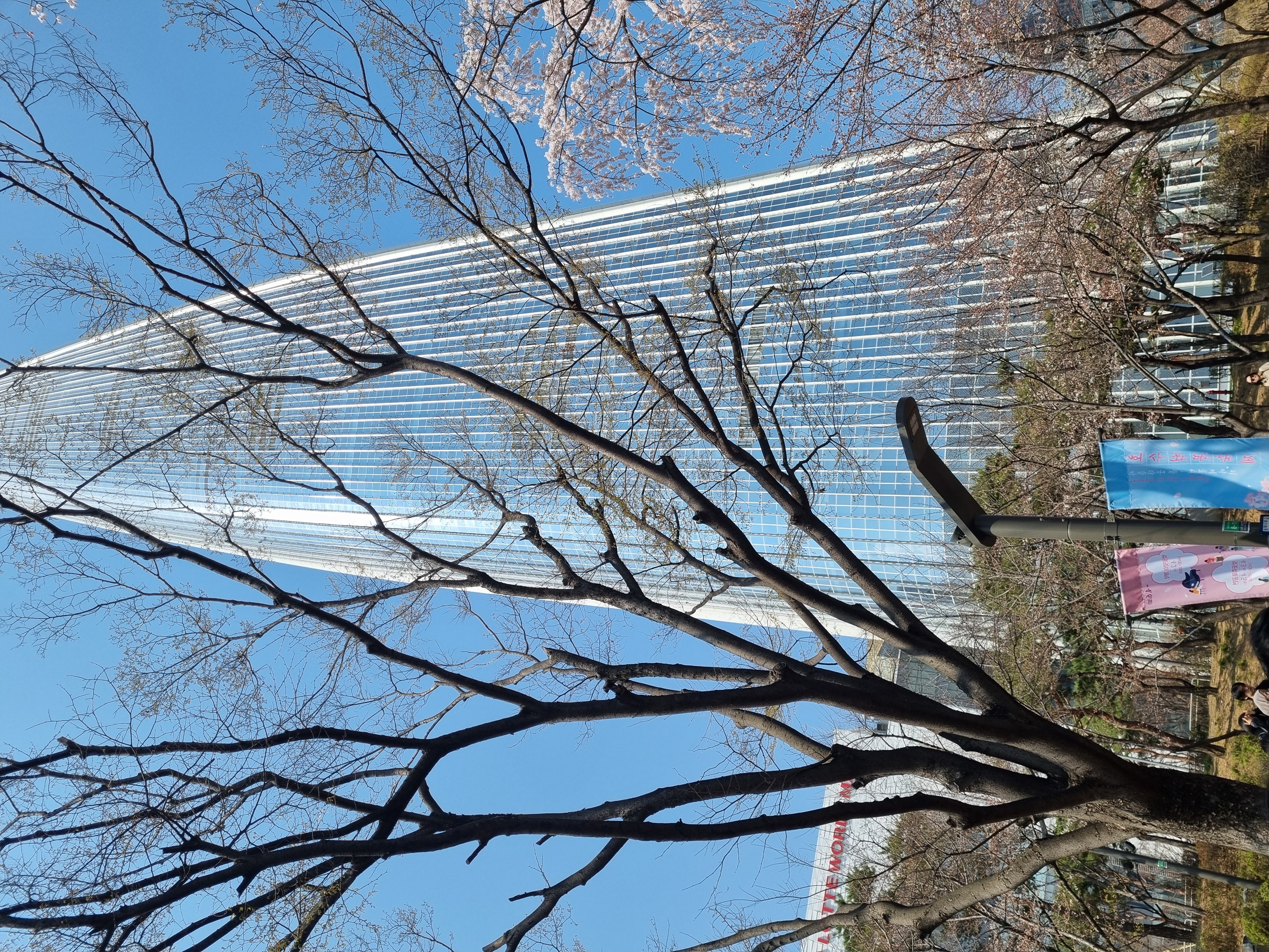 Сезон красных кленов в Сеуле (11/16)