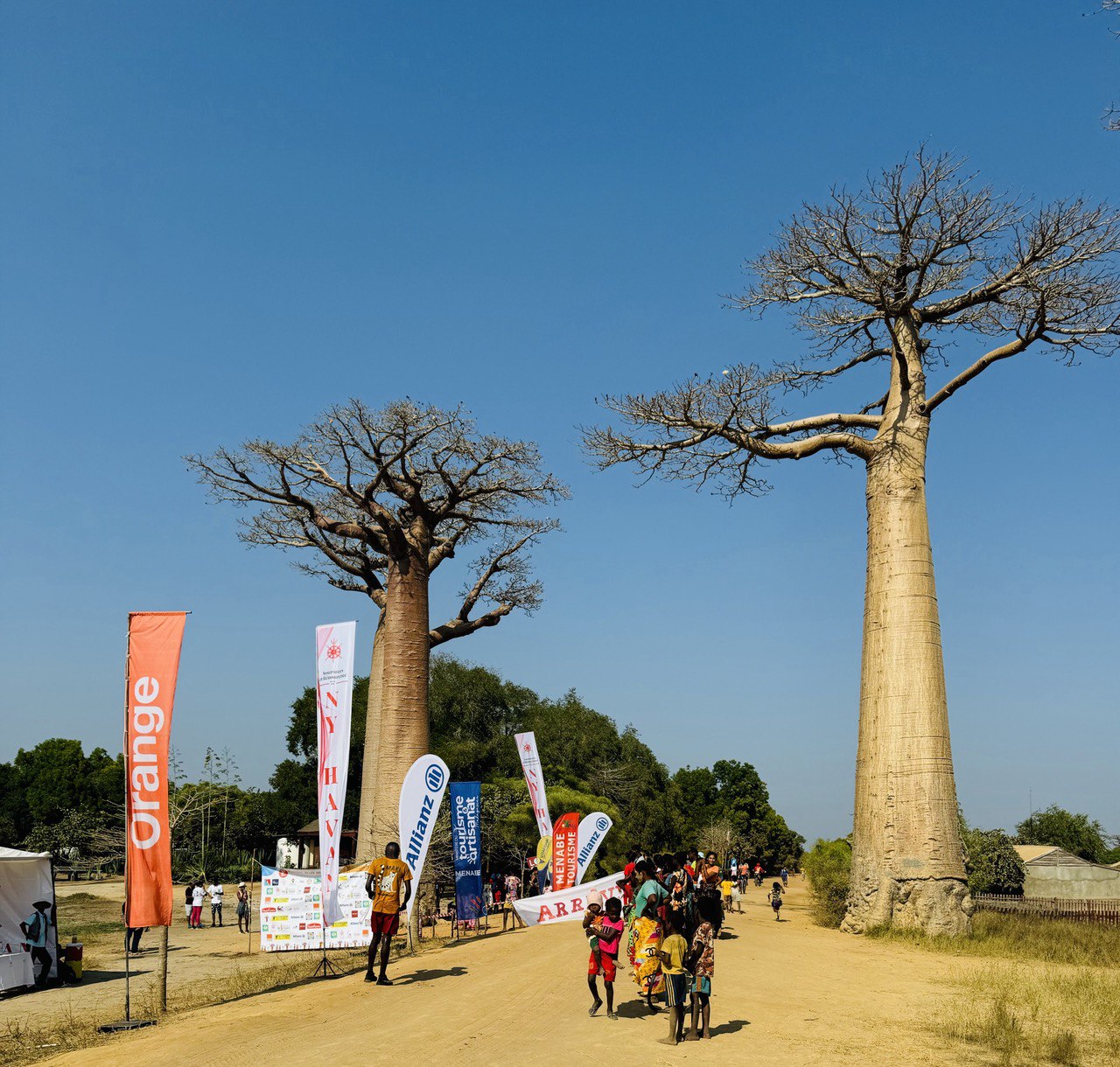 В Краю Баобабов (3/34)