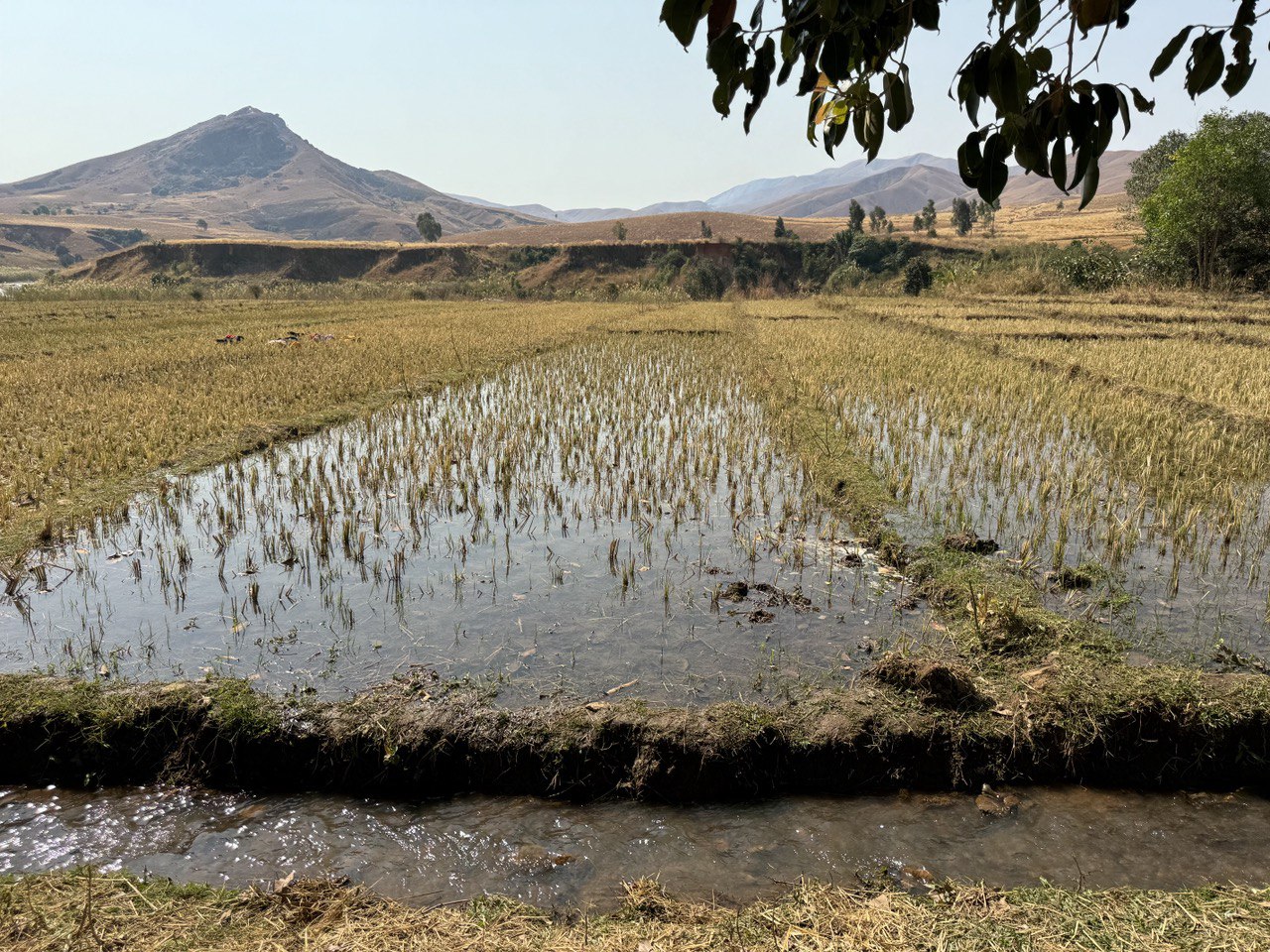 В Краю Баобабов (8/34)