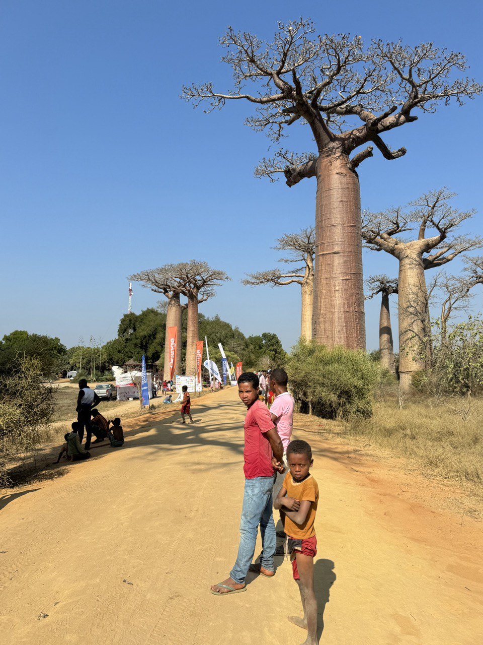 В Краю Баобабов (2/34)