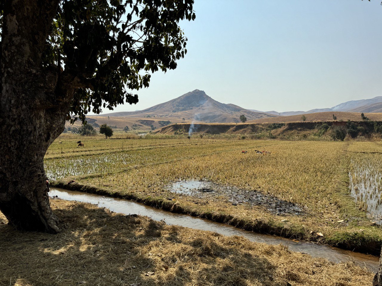 В Краю Баобабов (4/34)