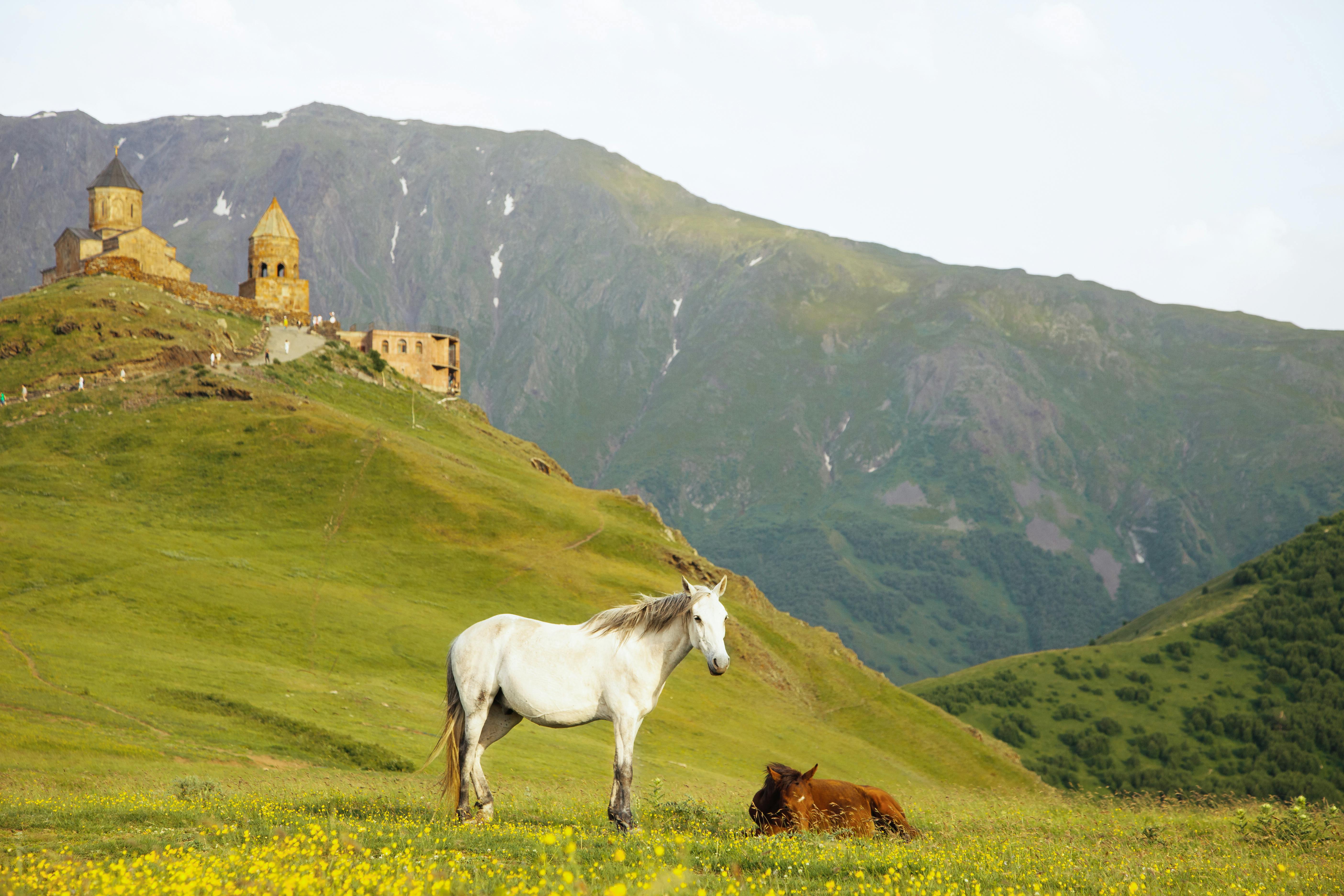 Казбеги — величие природы и культуры Грузии (1/10)