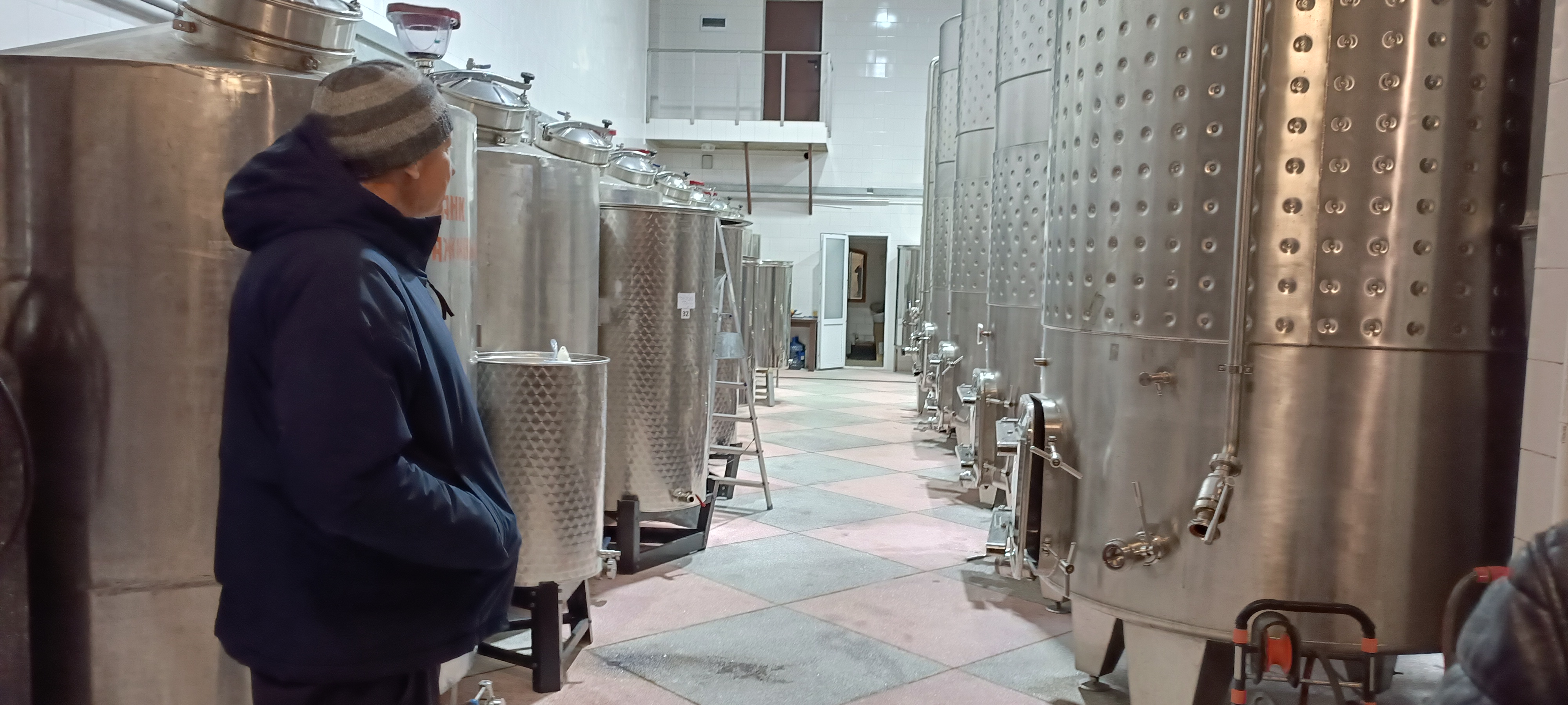 От старинных виноделен к современным (15/26)