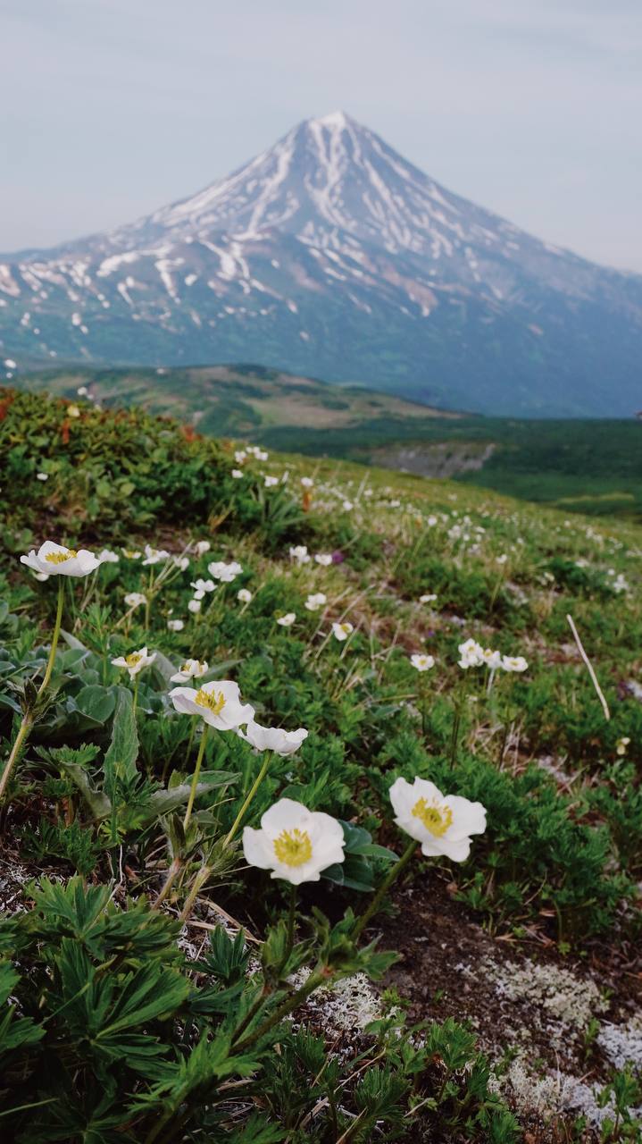 Джип-тур по Камчатке: вулканы, медведи и Тихий океан (7/26)