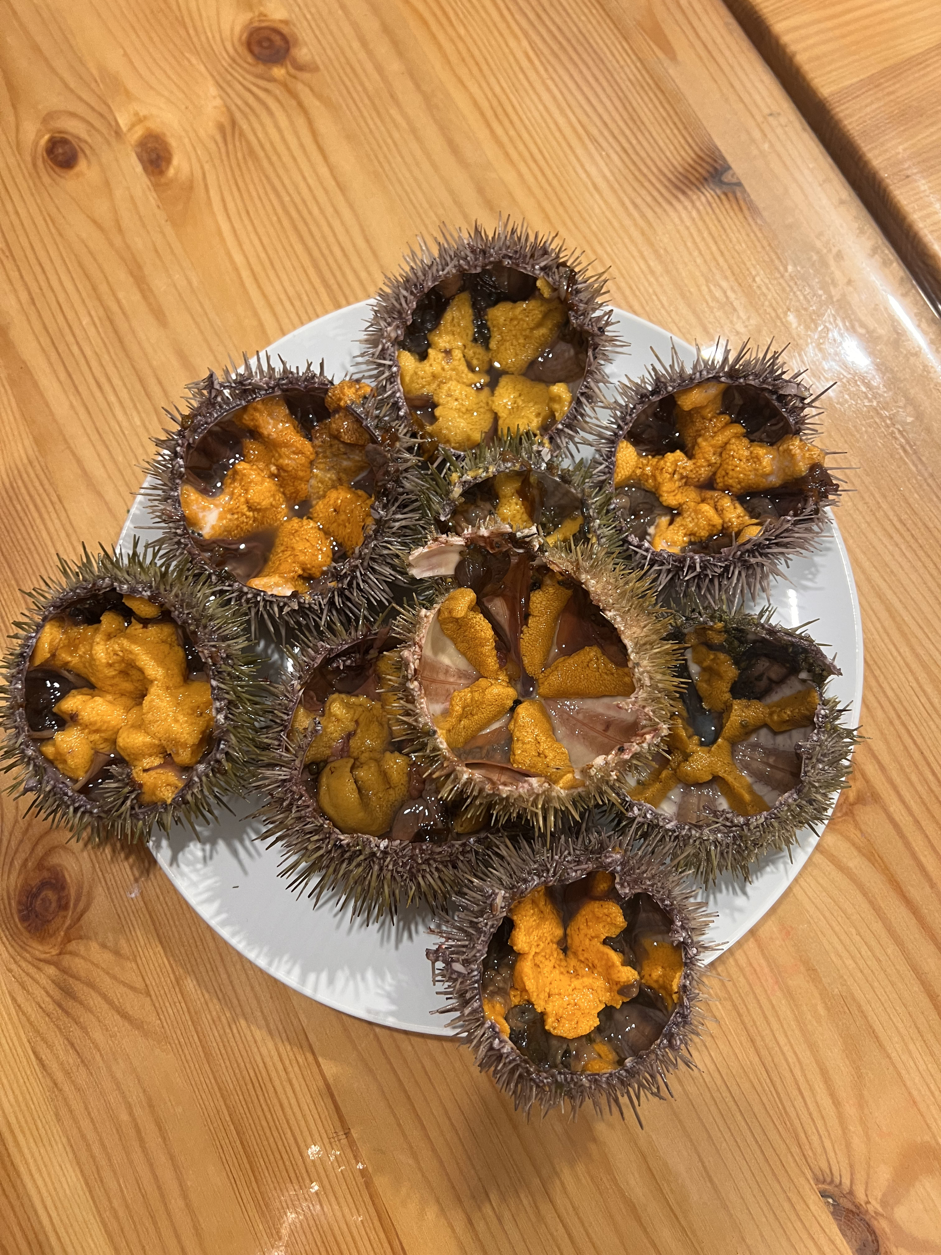 Териберка: перезагрузка за выходные (2/13)