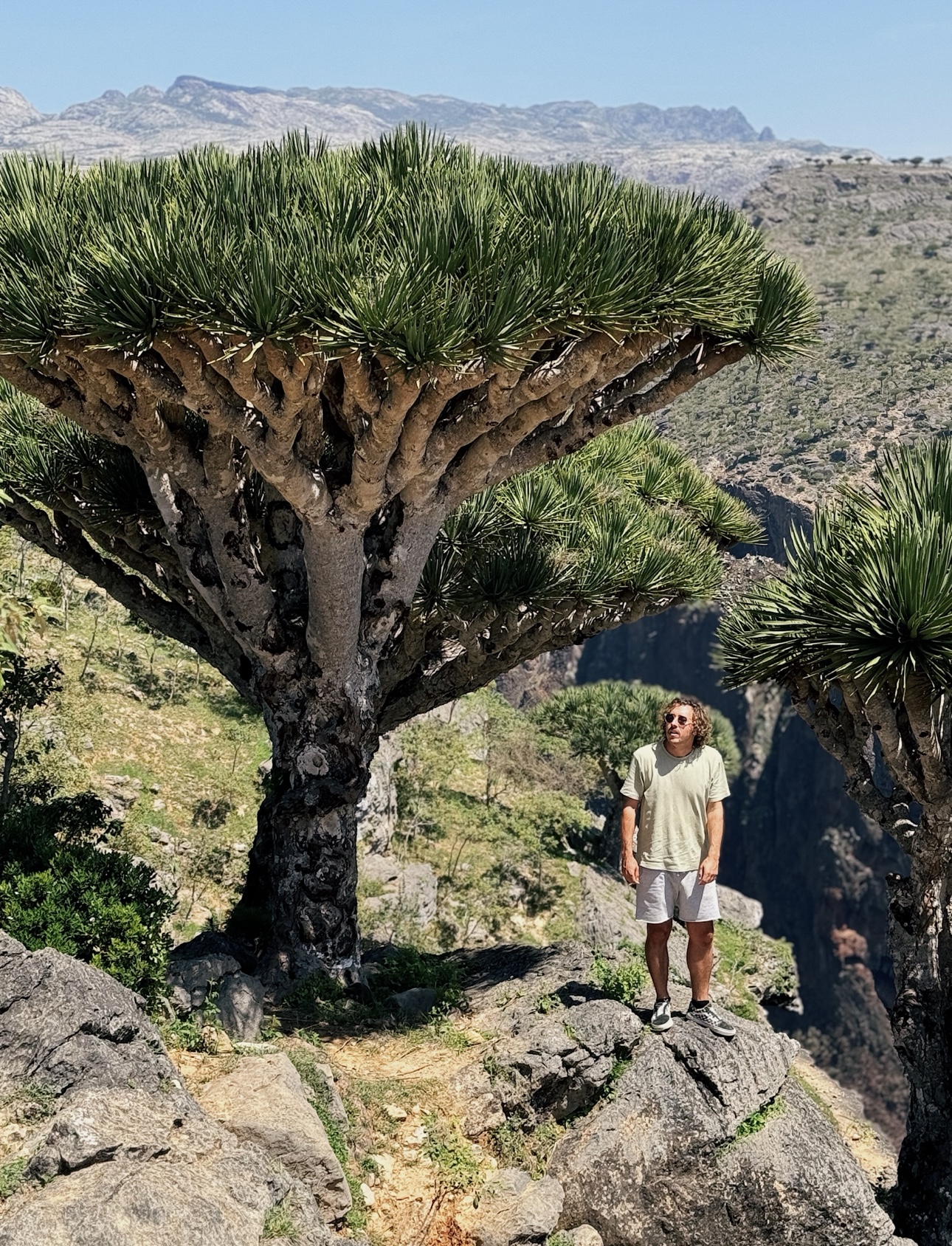 Нац парк Детвах