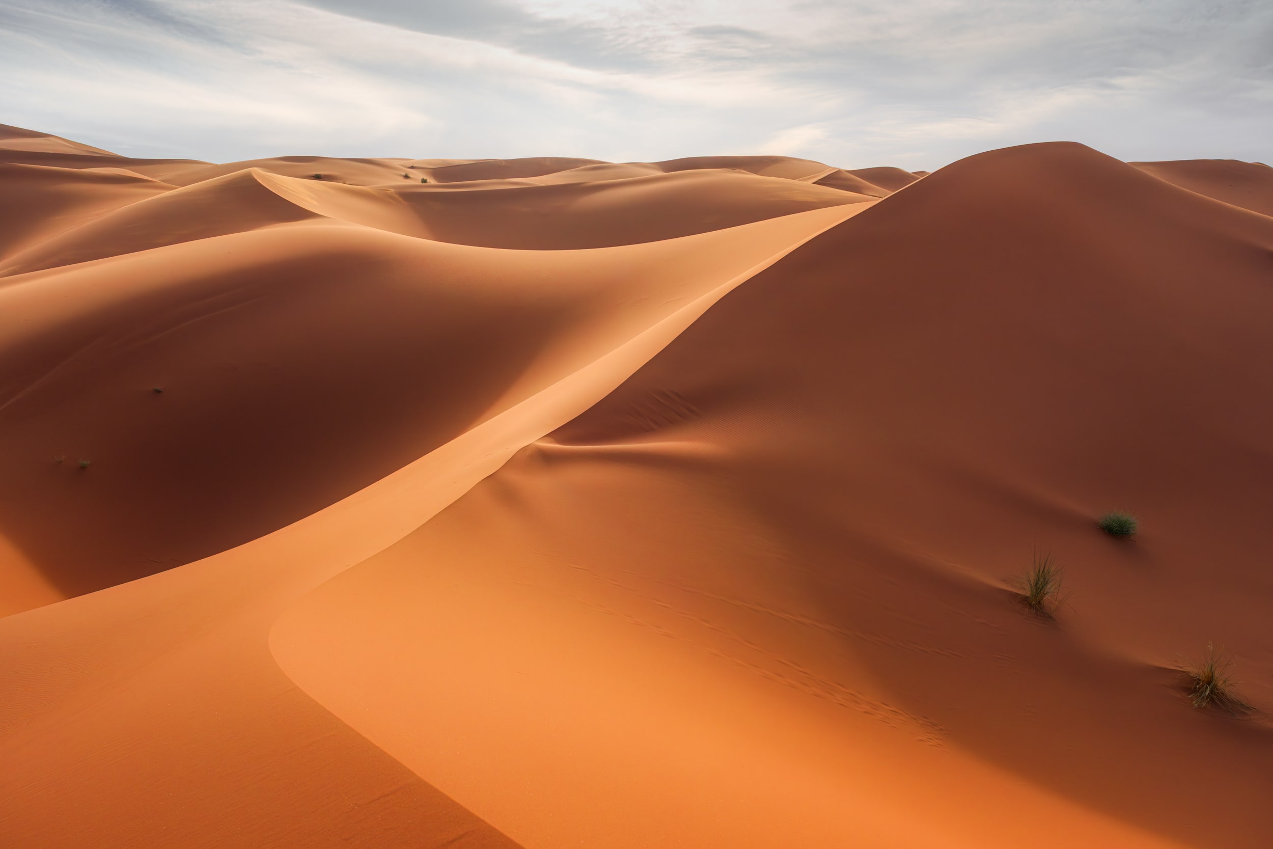 Марокко от океана до Сахары (15/87)