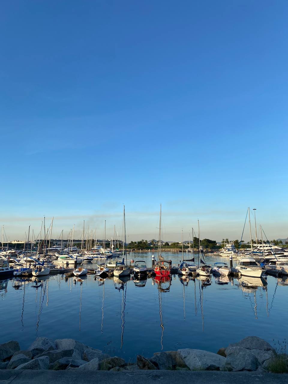 Путешествие по Бразилии (14/42)